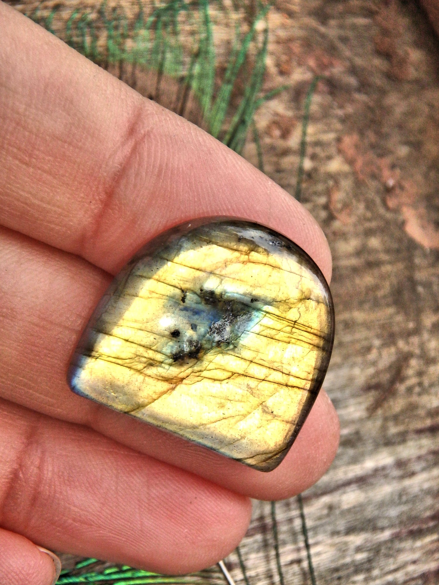 Mesmerizing Golden Flashes Labradorite Cabochon - Earth Family Crystals