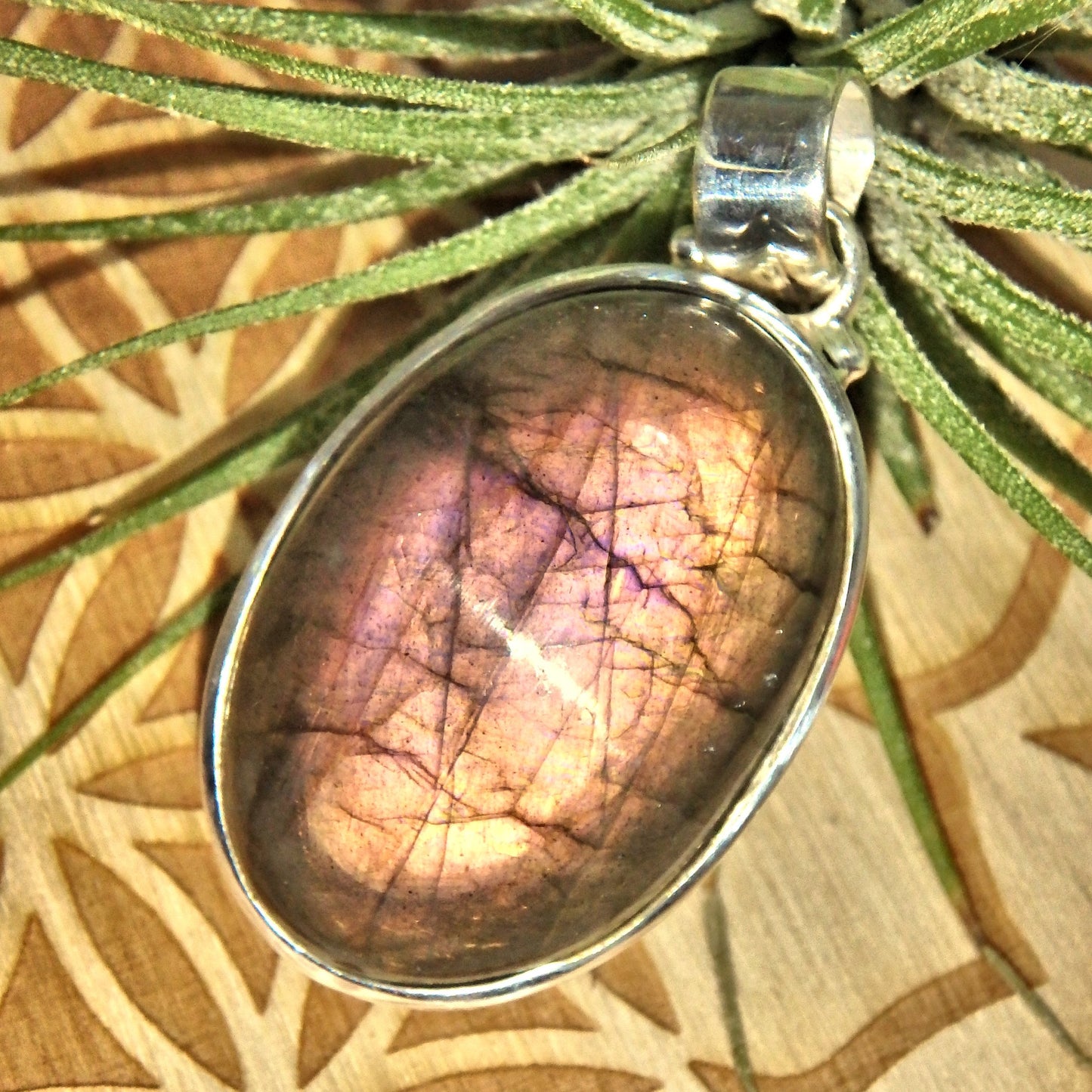 Incredible Rare Blushing Pink & Peach Labradorite Sterling Silver Pendant (Includes Silver Chain)