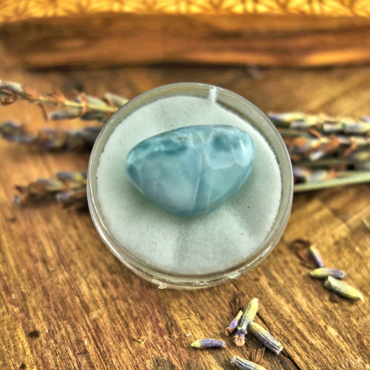 Polished Creamy Blue Larimar in Collectors Box1 - Earth Family Crystals