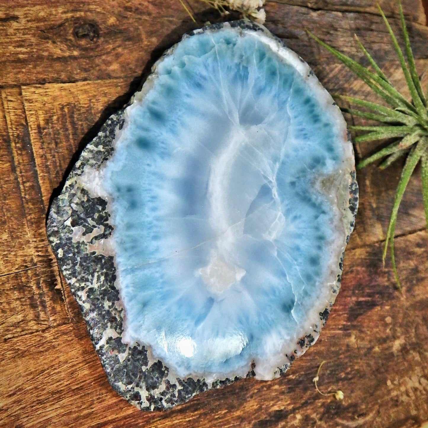 Fantastic High Grade Complete Larimar Specimen Partially Polished From The Dominican - Earth Family Crystals