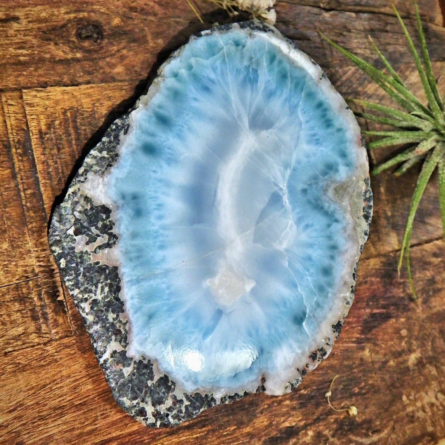 Fantastic High Grade Complete Larimar Specimen Partially Polished From The Dominican - Earth Family Crystals