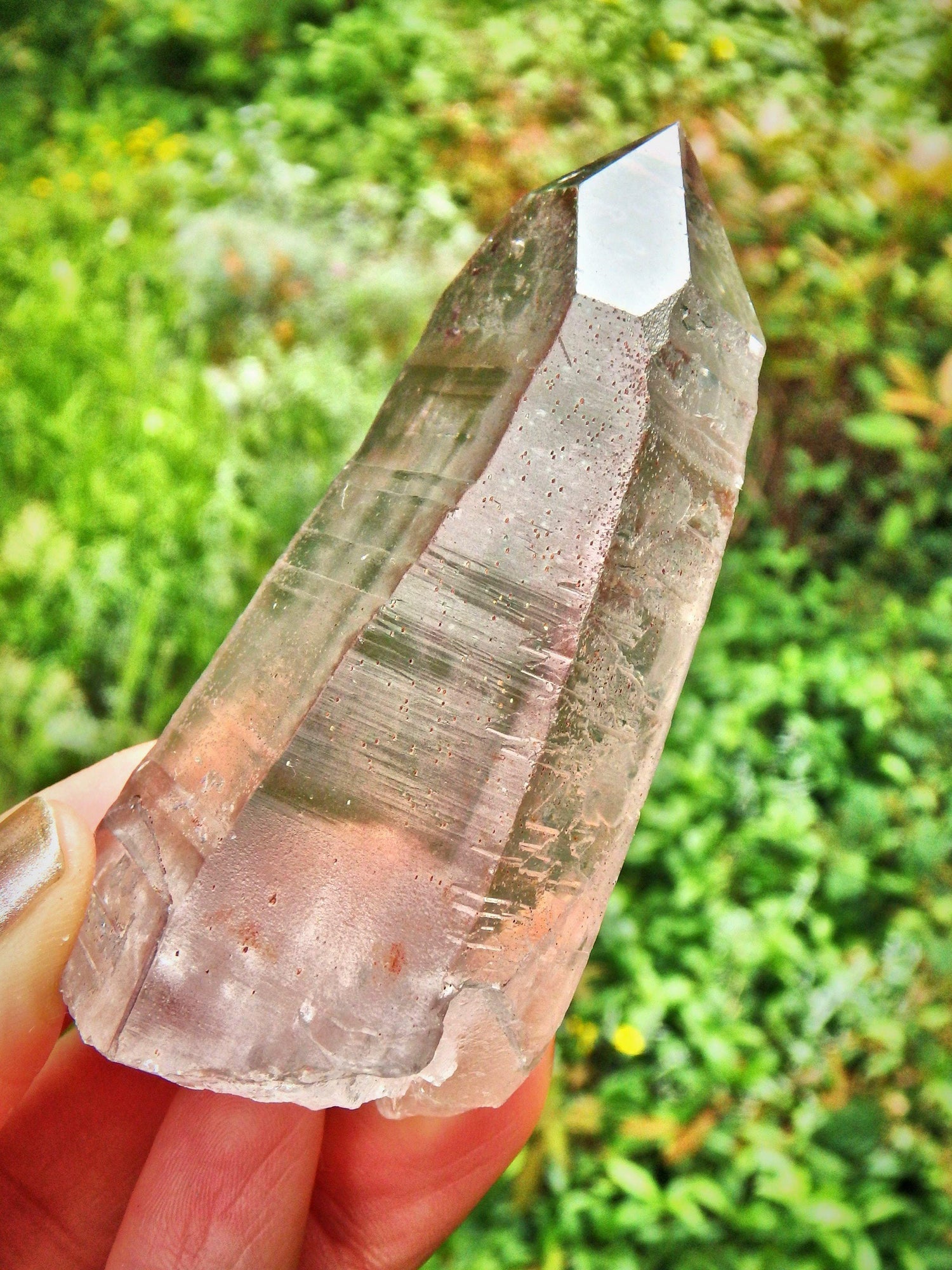  Completely Unpolished~Powerful Scarlet Temple Lemurian Point From Brazil