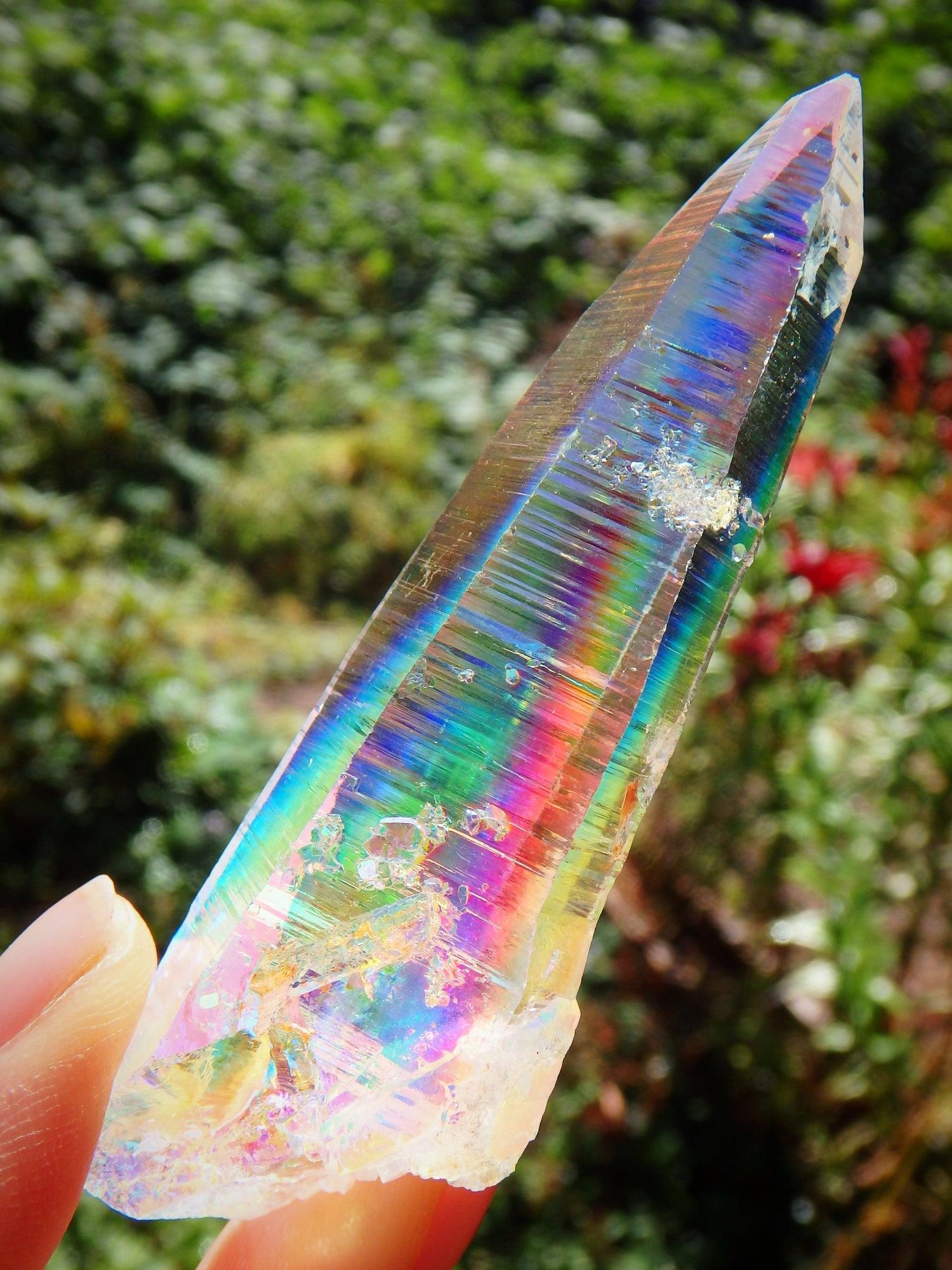 Incredible Rainbows~Long Angel Aura Colombian Lemurian Quartz Point 1 - Metiz Tier Price