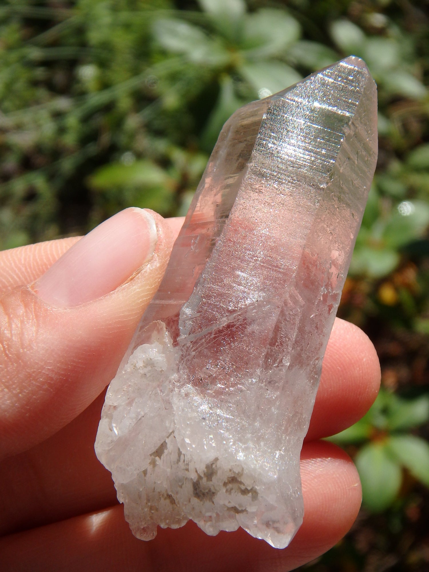 High Vibe Brazilian Lemurian Quartz Point With Self Healing - Metiz Tier Price