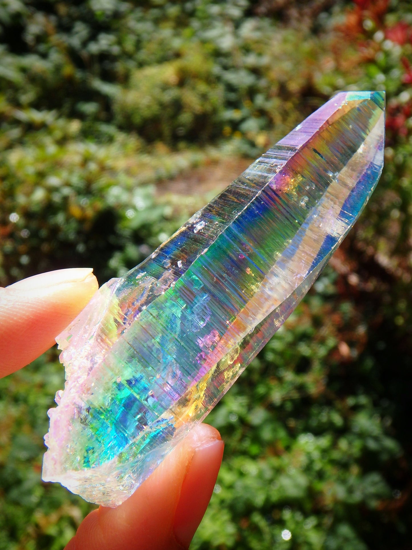 Incredible Rainbows~Long Angel Aura Colombian Lemurian Quartz Point 1 - Metiz Tier Price