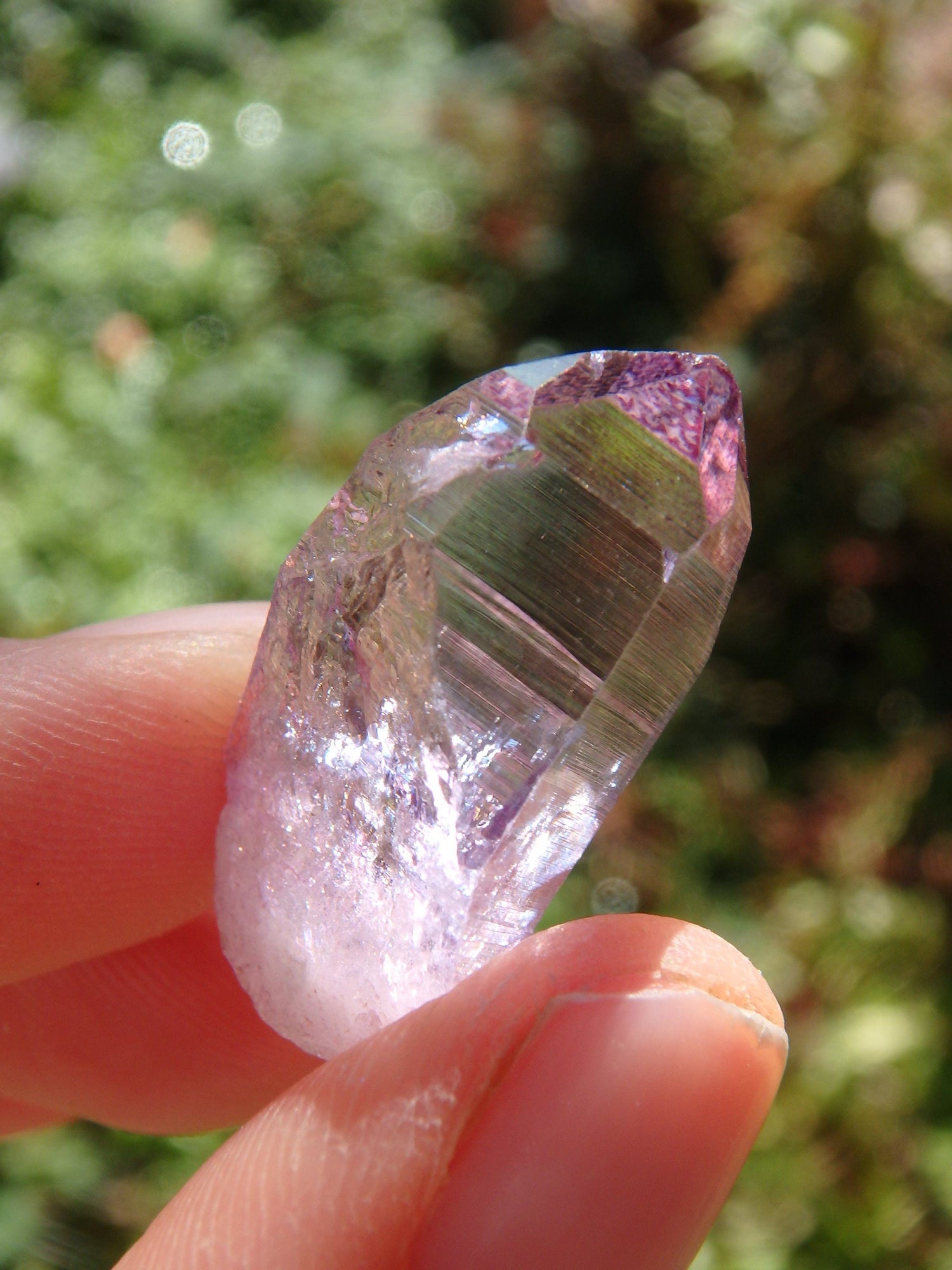  Adorable Dainty Rose Aura Colombian Lemurian Quartz Point 4