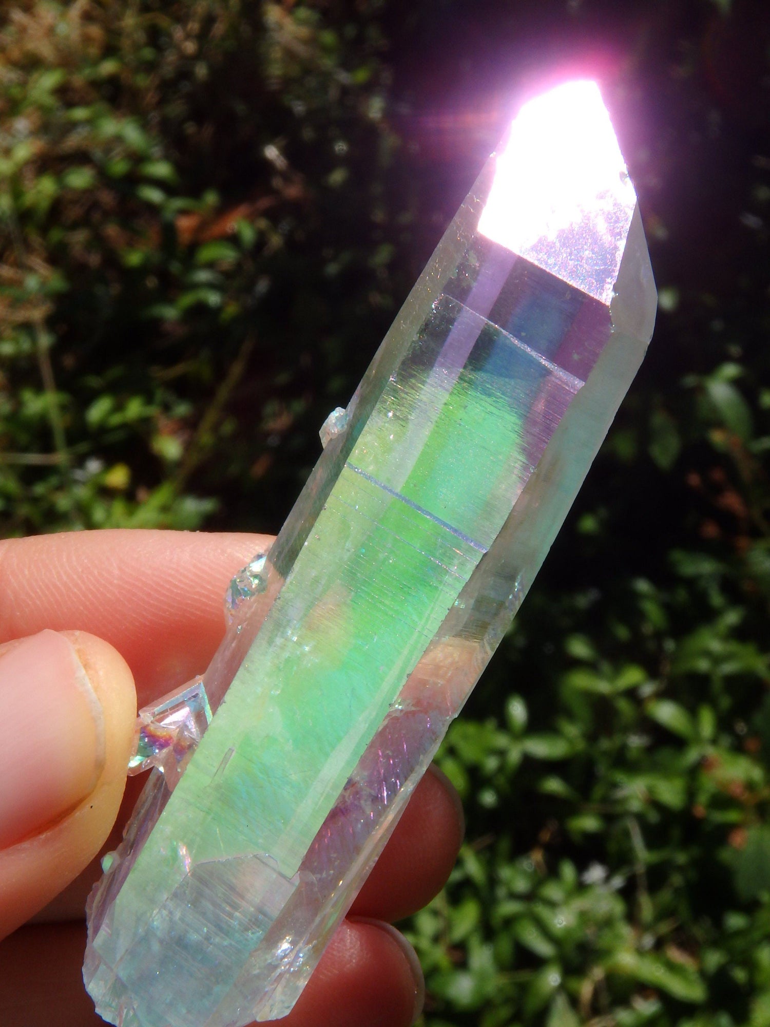  Beautiful Rainbows~Angel Aura Colombian Lemurian Quartz Point With Babies