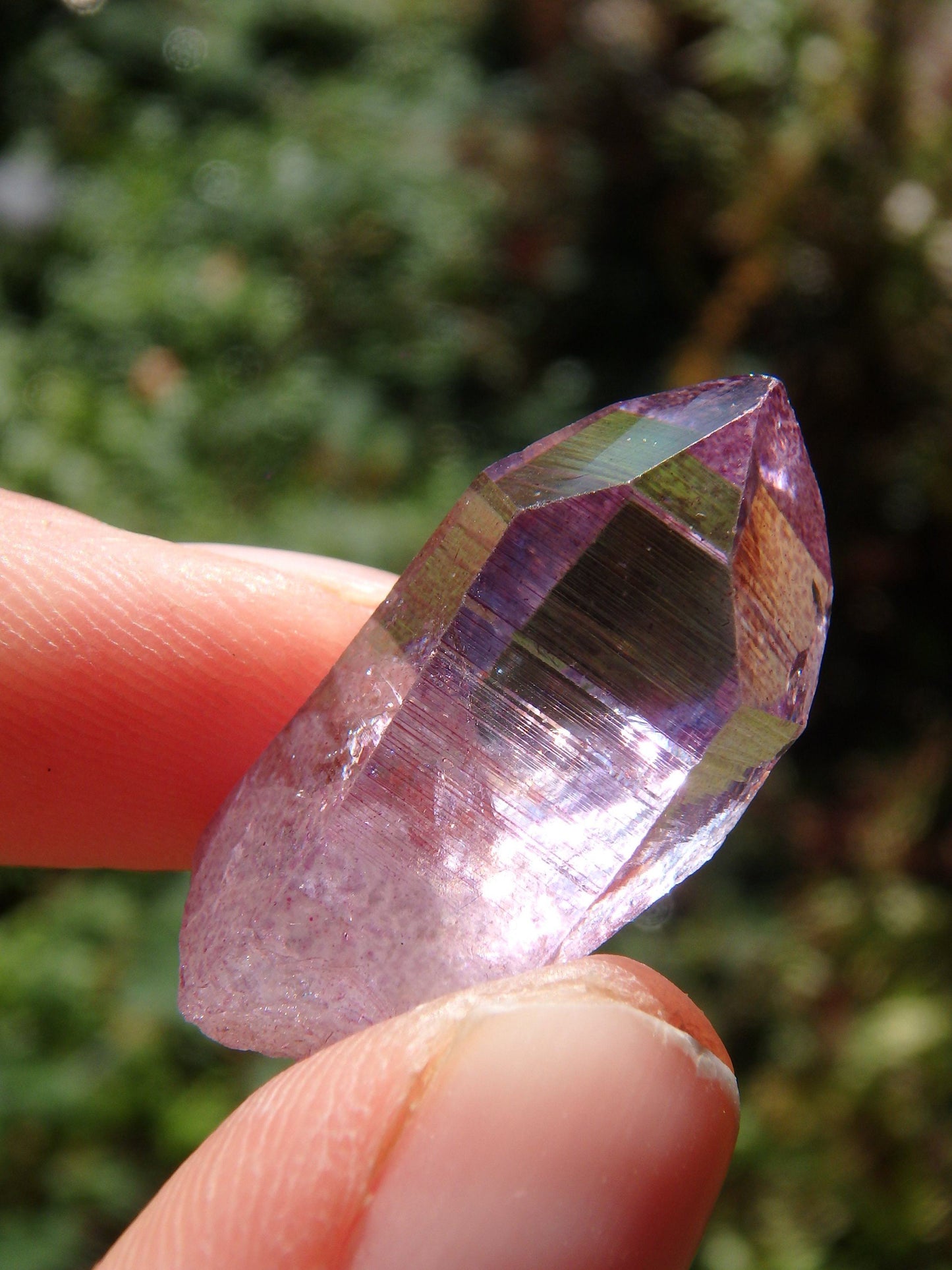  Adorable Dainty Rose Aura Colombian Lemurian Quartz Point 4