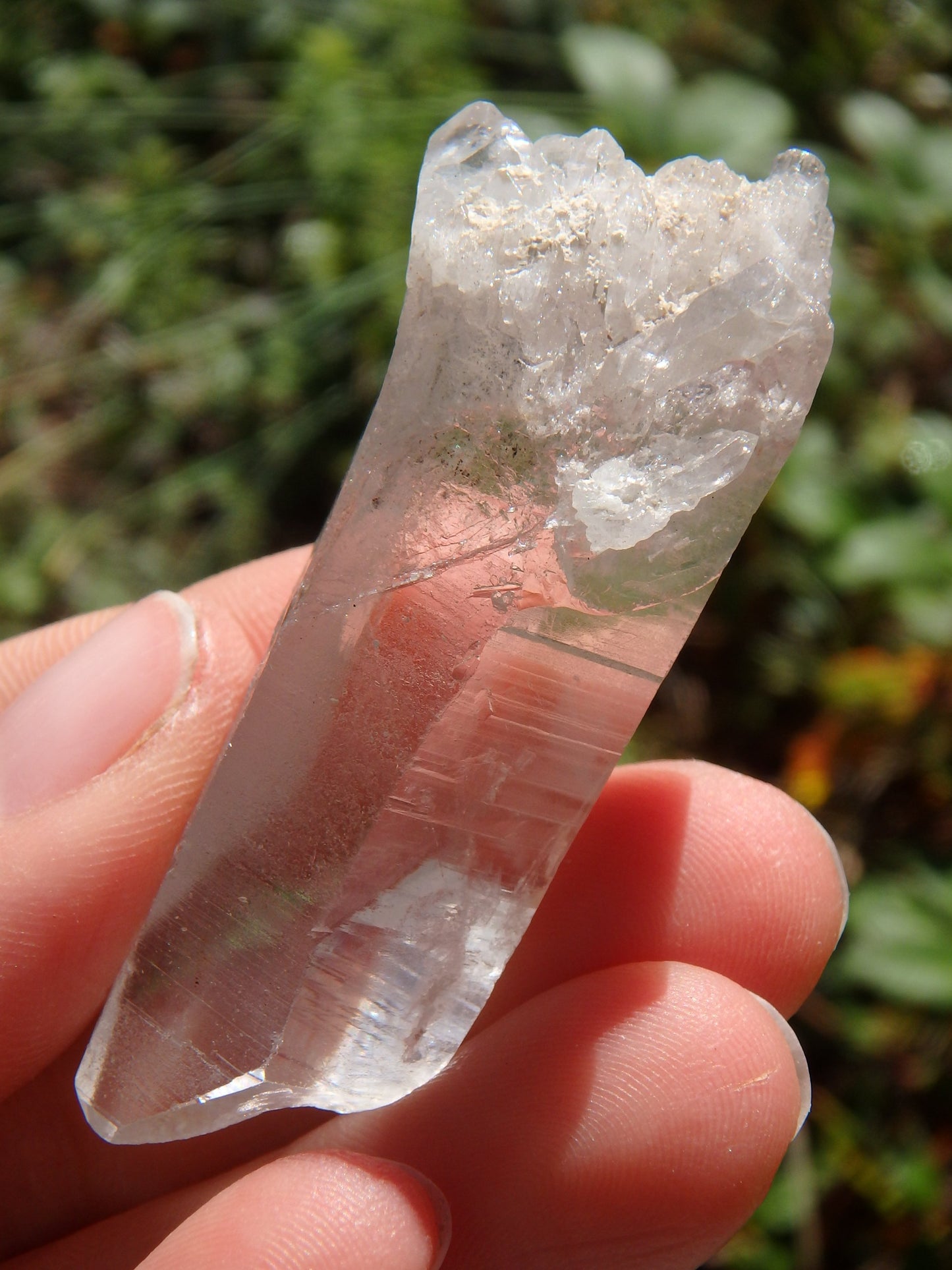 High Vibe Brazilian Lemurian Quartz Point With Self Healing - Metiz Tier Price
