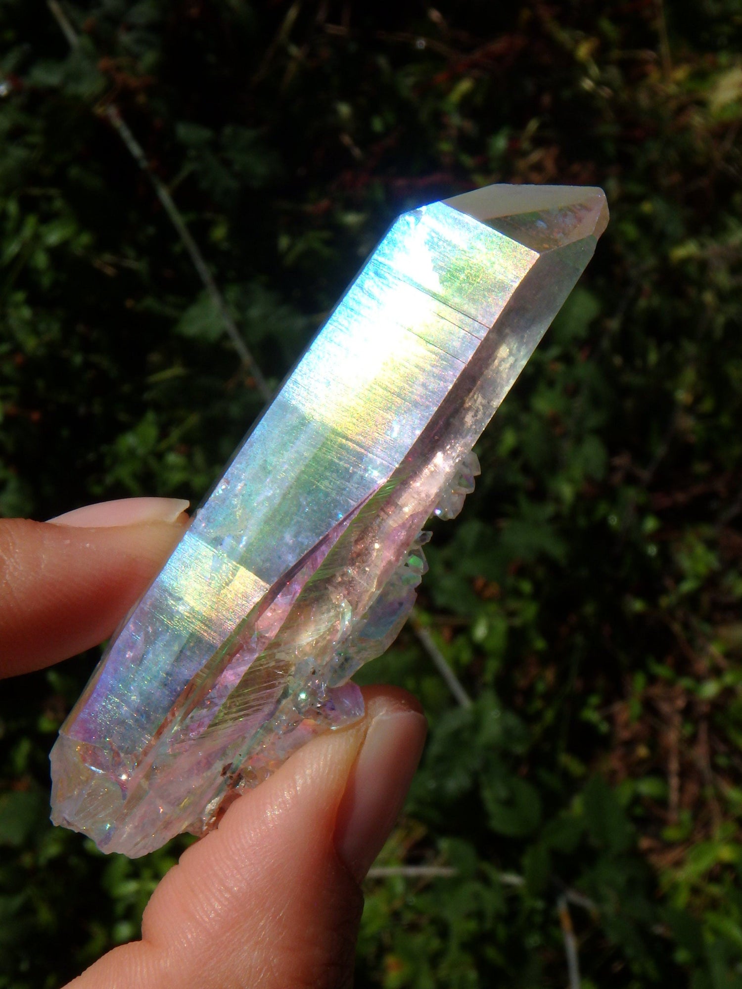  Beautiful Rainbows~Angel Aura Colombian Lemurian Quartz Point With Babies