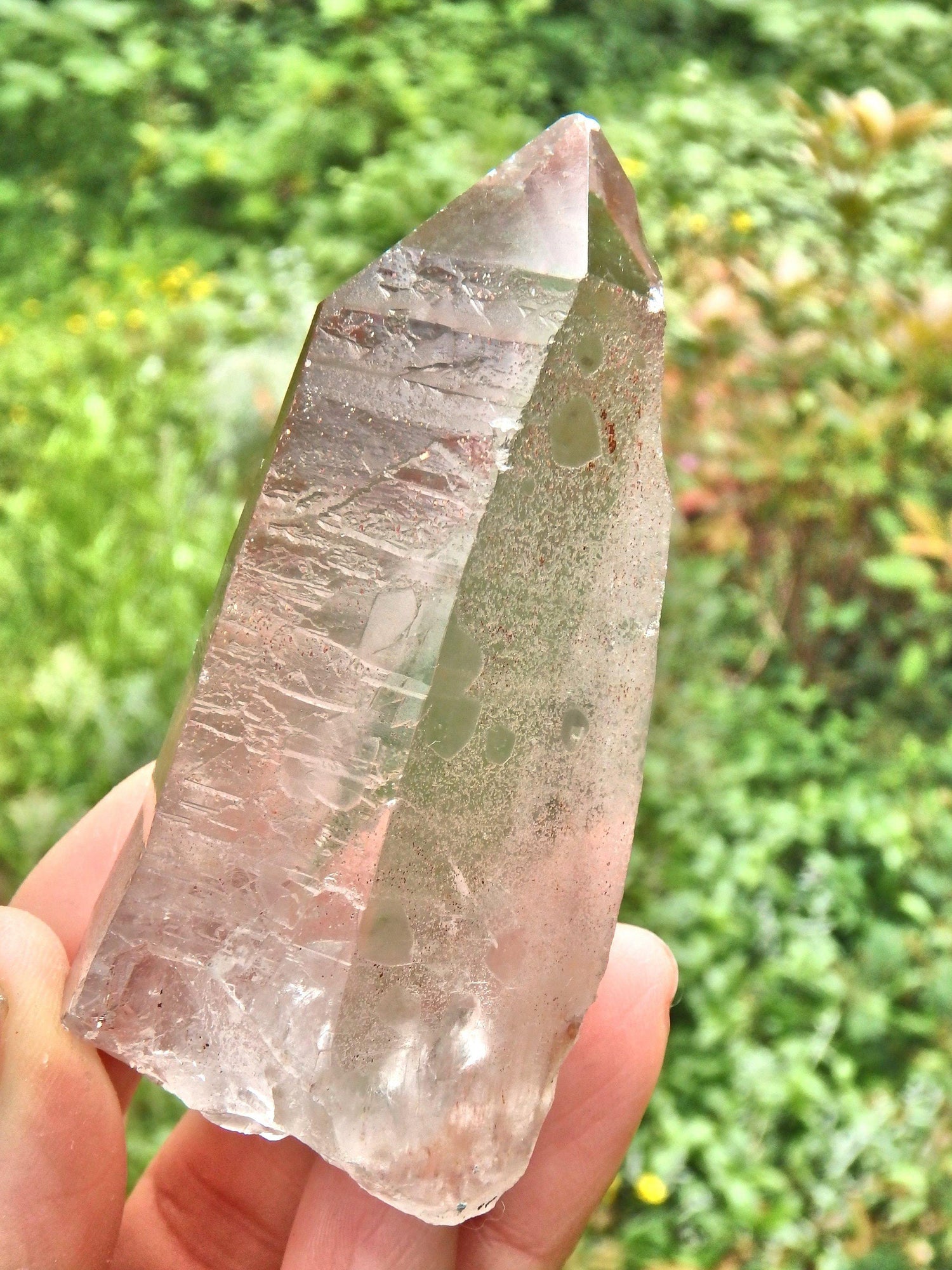 Completely Unpolished~Powerful Scarlet Temple Lemurian Point From Brazil