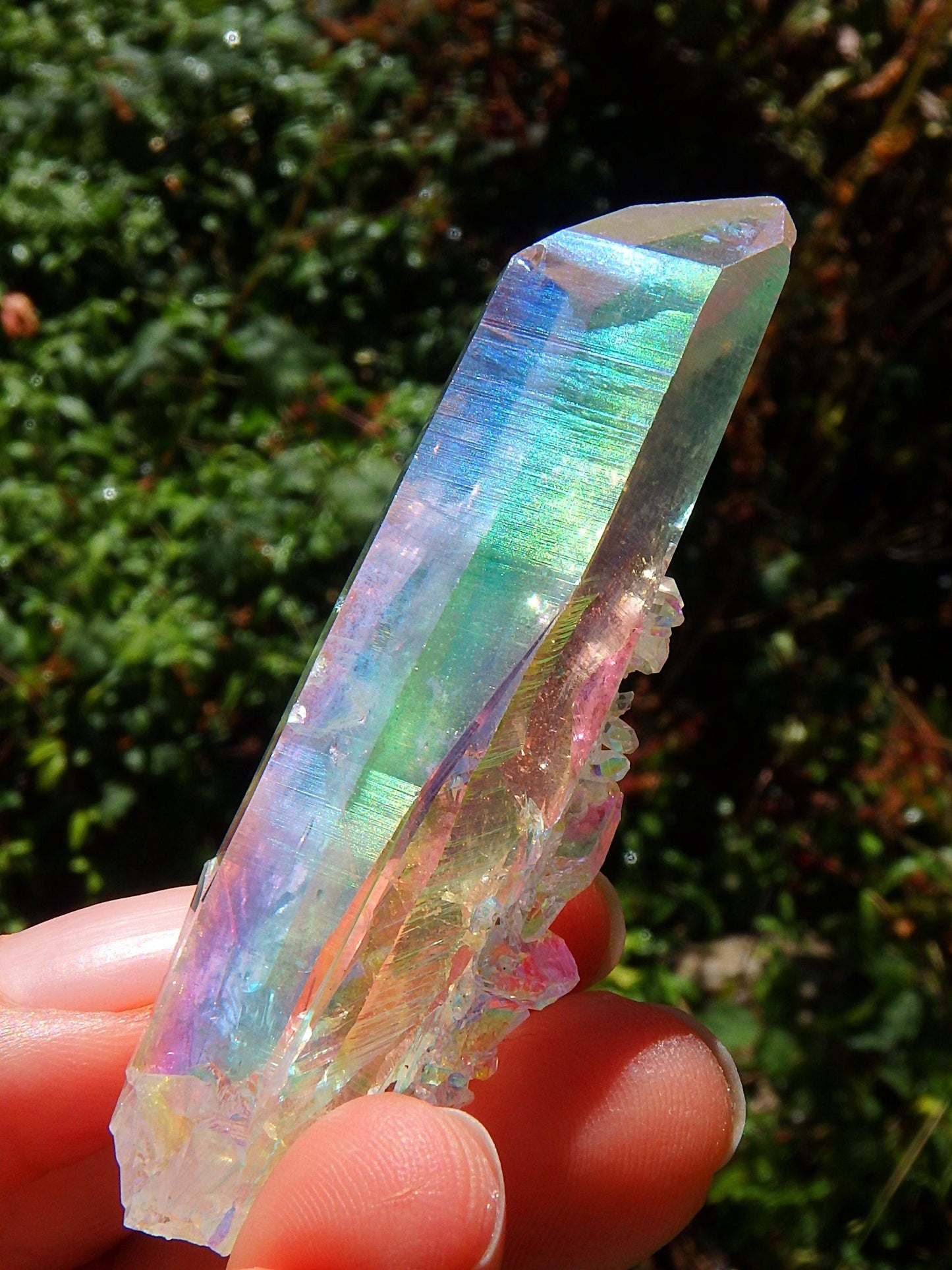  Beautiful Rainbows~Angel Aura Colombian Lemurian Quartz Point With Babies