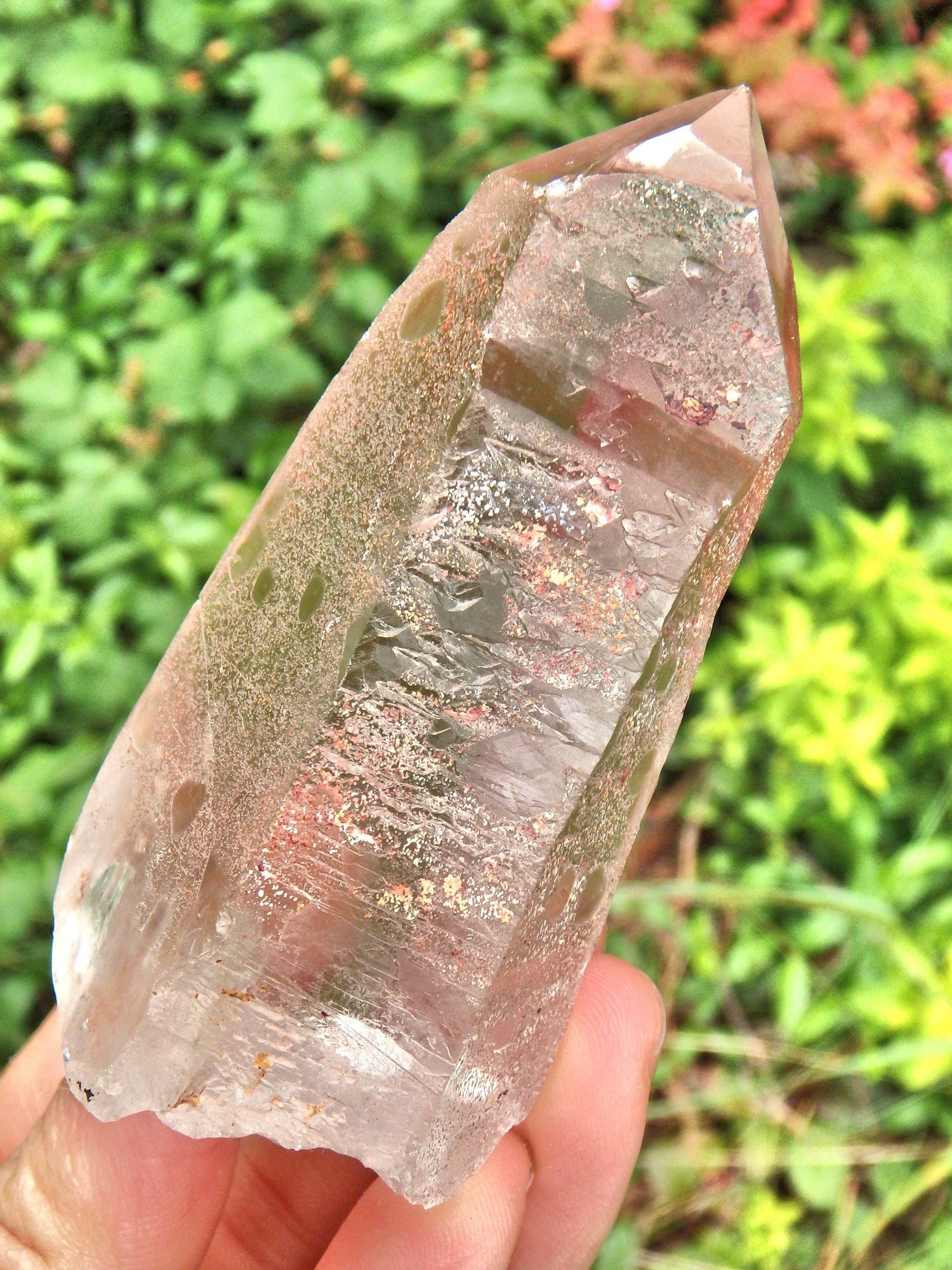  Completely Unpolished~Powerful Scarlet Temple Lemurian Point From Brazil