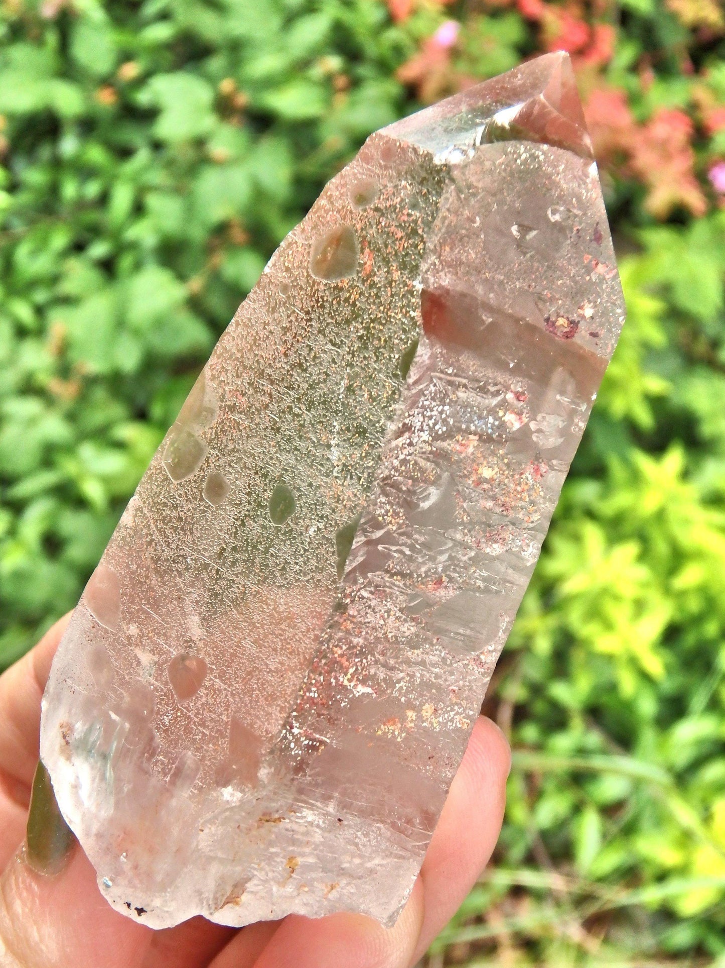  Completely Unpolished~Powerful Scarlet Temple Lemurian Point From Brazil
