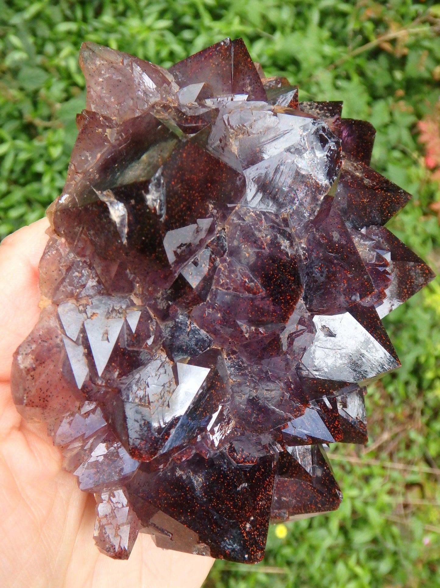 Extreme Brilliance~Large Smoky Amethyst Flower Elestial Cluster With Lepidocrosite Inclusions From Ontario, Canada - Earth Family Crystals