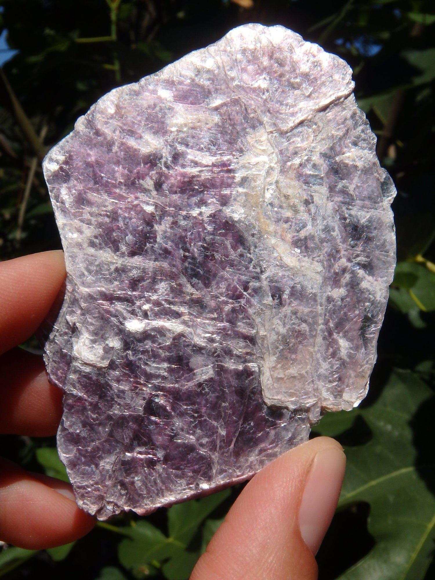 Shiny Lilac Lepidolite Slice Specimen From Brazil - Metiz Tier Price