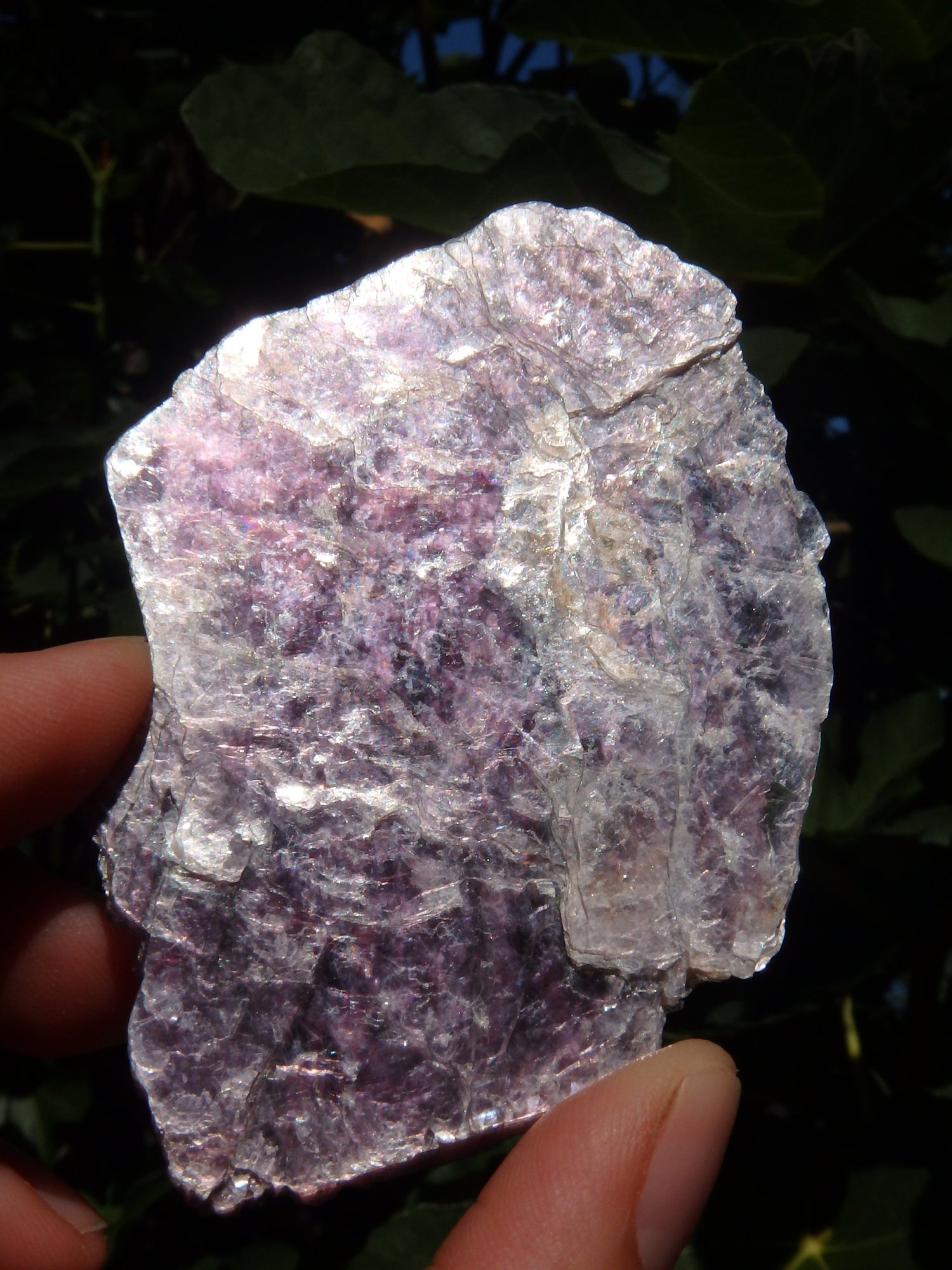 Shiny Lilac Lepidolite Slice Specimen From Brazil - Metiz Tier Price