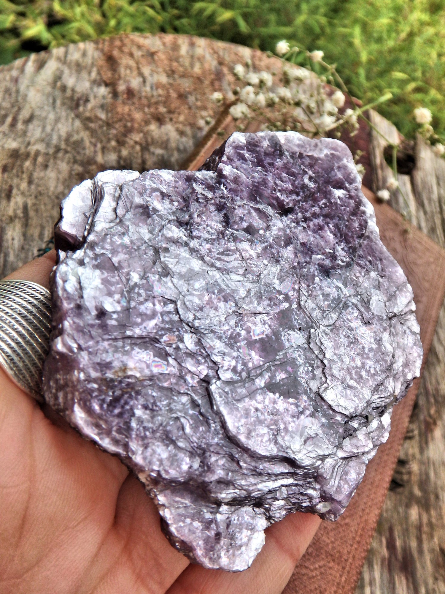 Gorgeous Shine Lilac Lepidolite Flat Specimen Ideal for Body Layouts1 - Earth Family Crystals