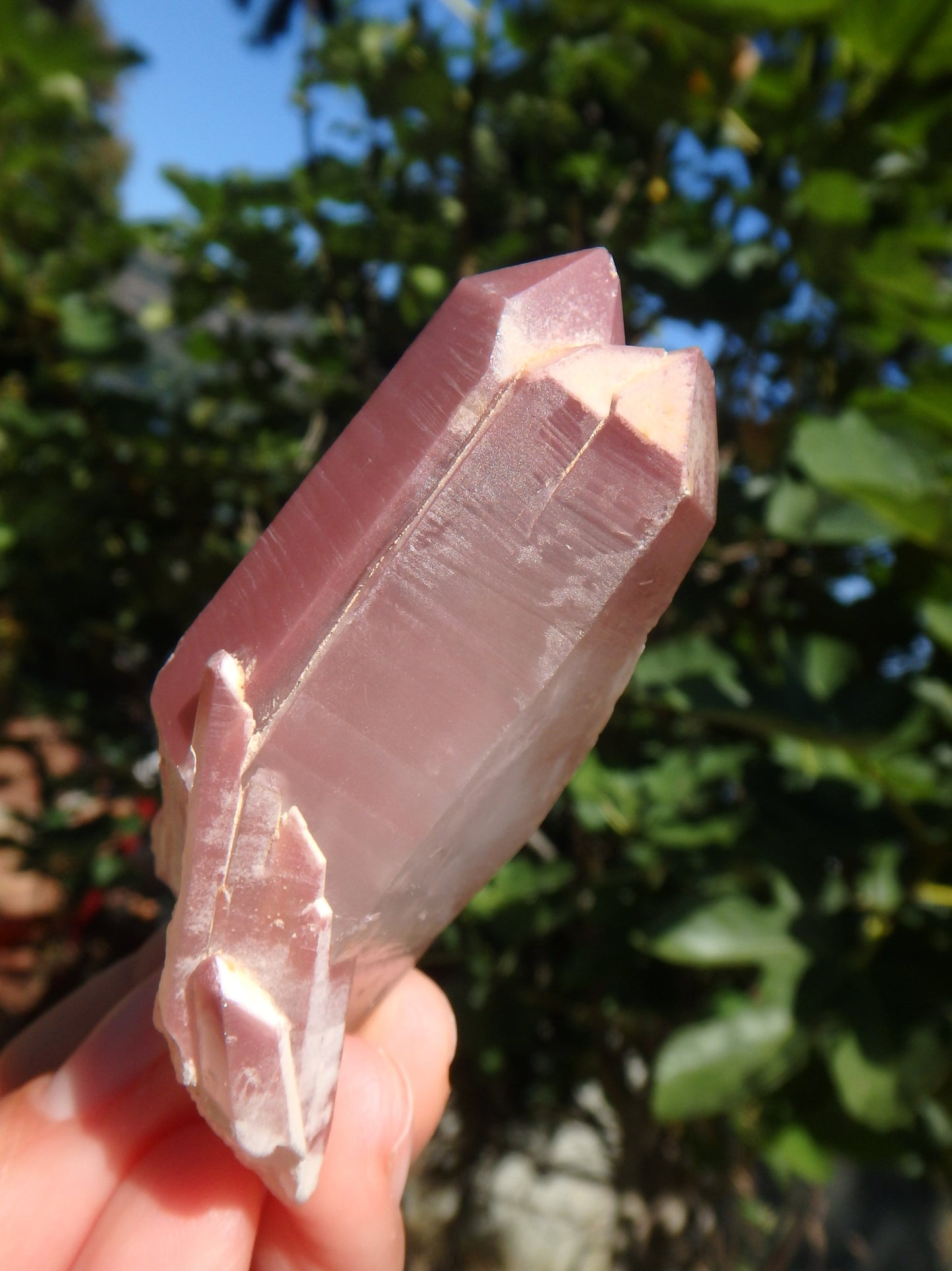 Healing Lithium Quartz Elestial Point From Brazil1 - Earth Family Crystals