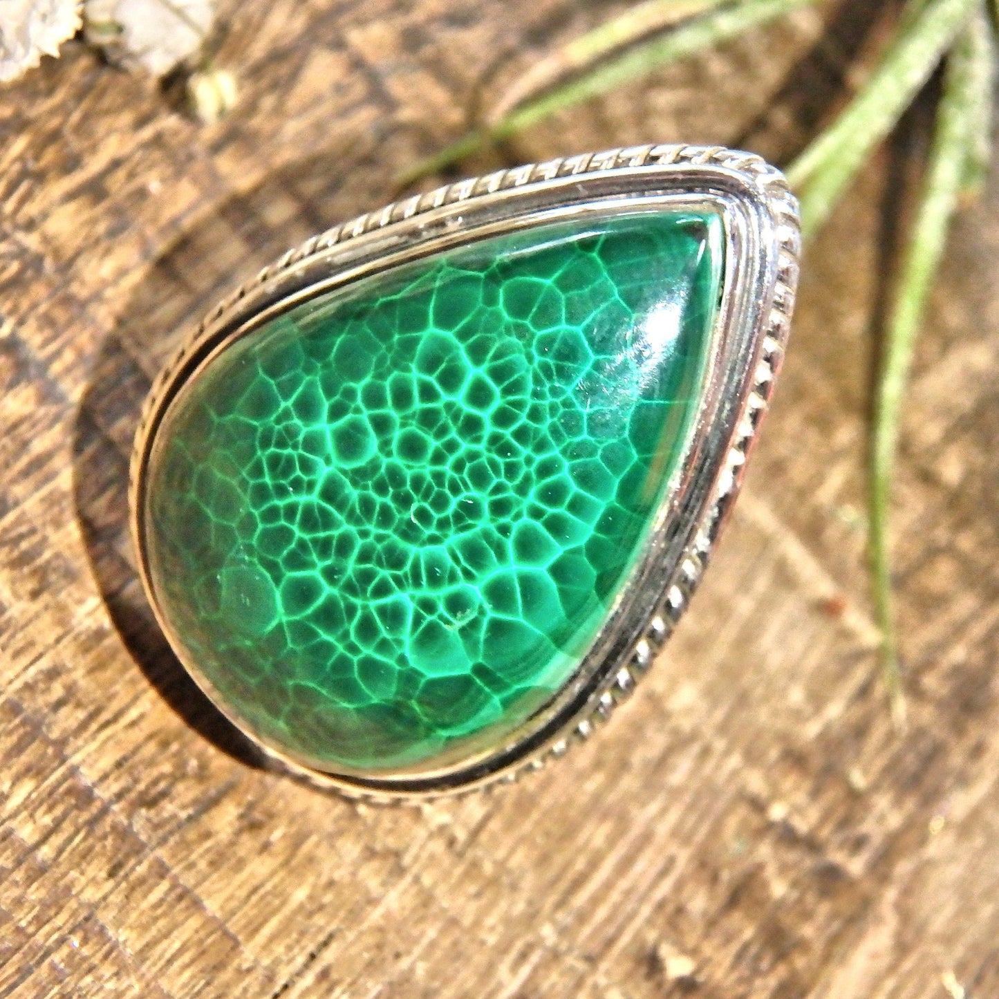  Delightful Green Patterns Malachite Sterling Silver Ring (Size 6)