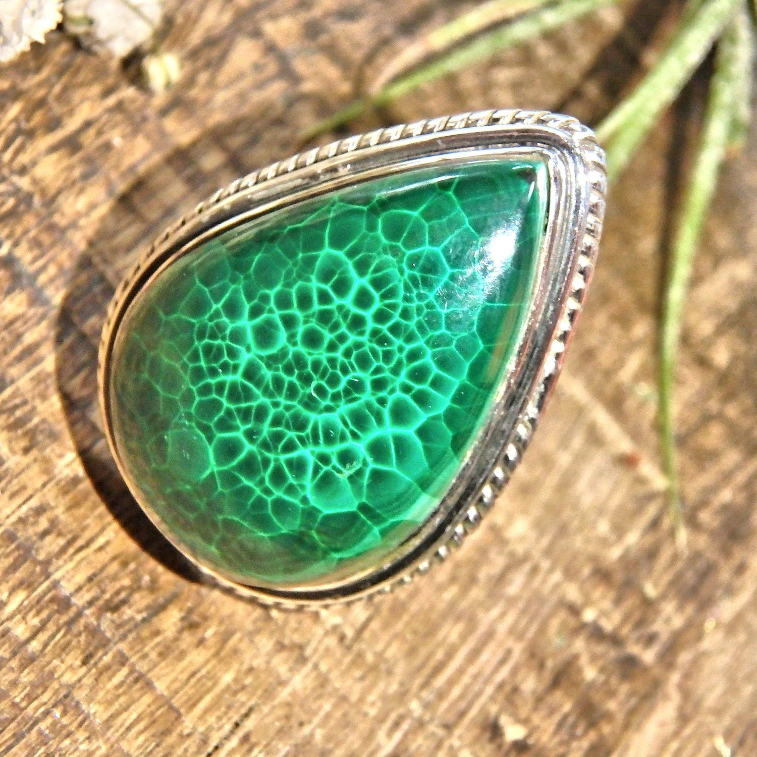  Delightful Green Patterns Malachite Sterling Silver Ring (Size 6)