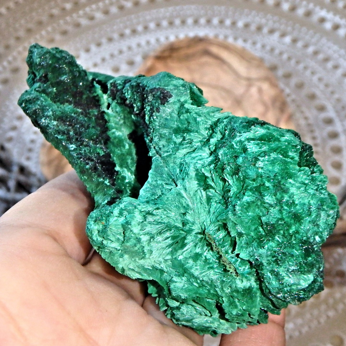 Secret Garden Fibrous Green Raw Malachite Display Specimen