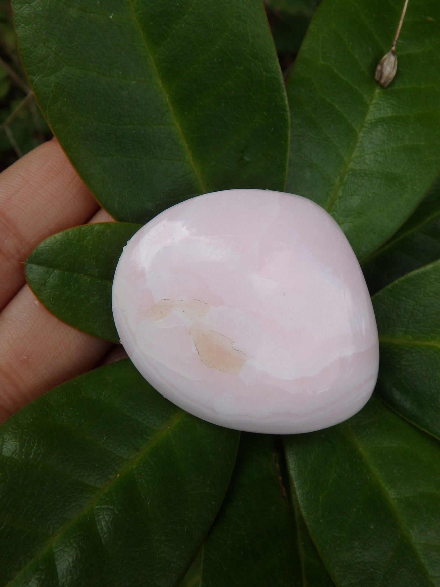  Creamy Pink Polished Mangano Calcite Palm Stone From Peru