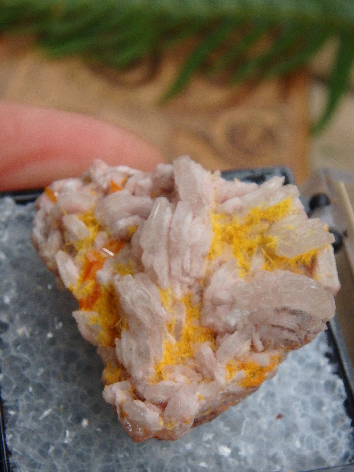  Electric Orange Wulfenite & Baryte, Mimetite Collectors Specimen in Box From Rowley Mine, Arizona