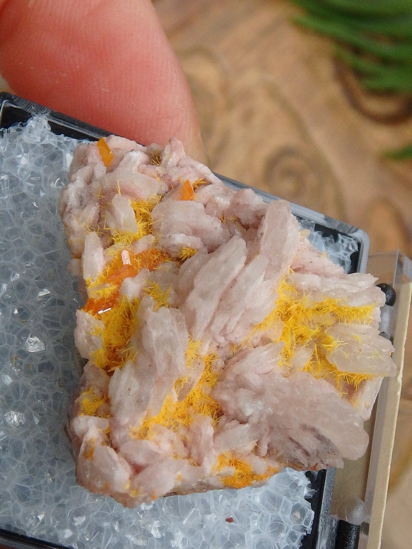  Electric Orange Wulfenite & Baryte, Mimetite Collectors Specimen in Box From Rowley Mine, Arizona