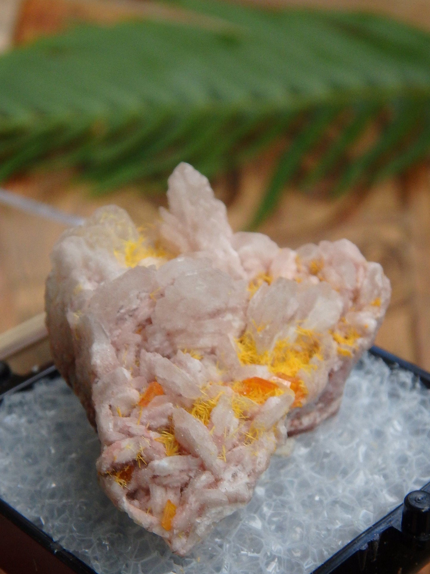  Electric Orange Wulfenite & Baryte, Mimetite Collectors Specimen in Box From Rowley Mine, Arizona