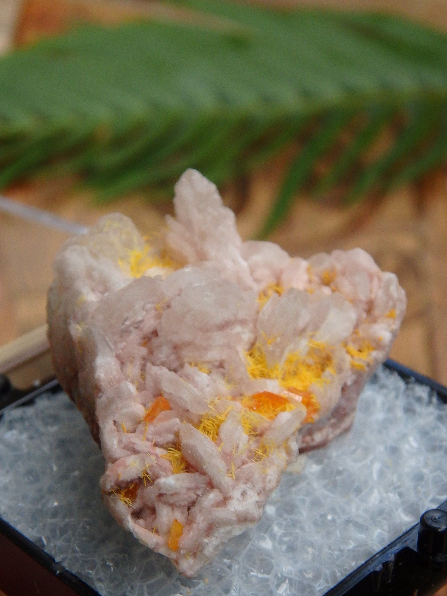  Electric Orange Wulfenite & Baryte, Mimetite Collectors Specimen in Box From Rowley Mine, Arizona
