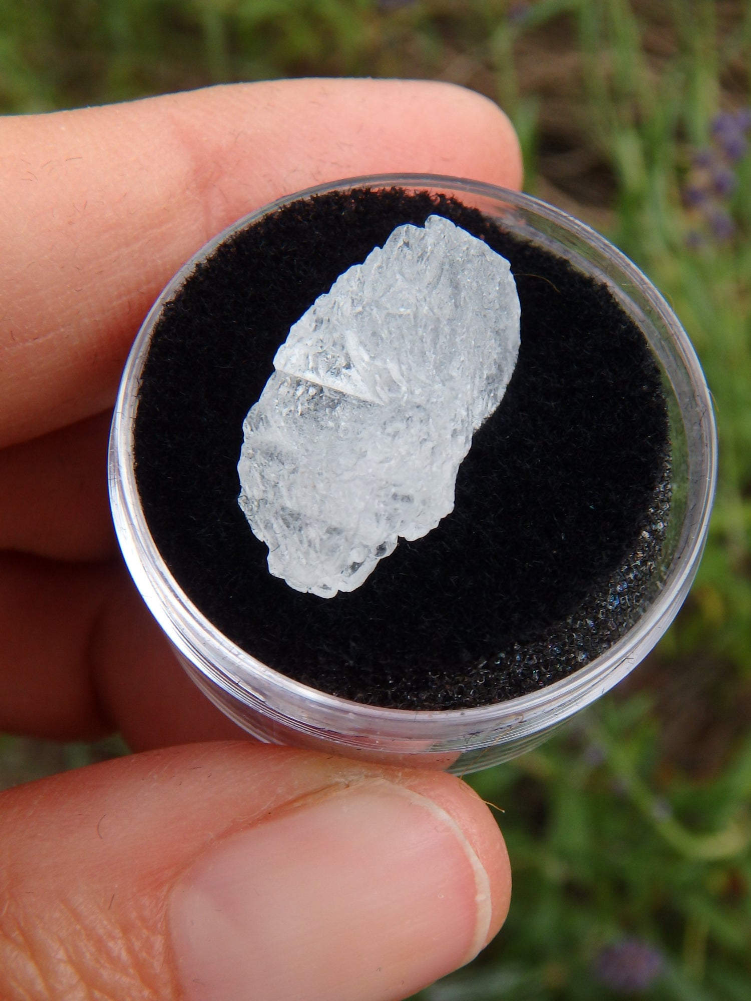STUNNING ARIZONA ELESTIAL ANGEL CALCITE  in Collectors Box #3 - Metiz Tier Price