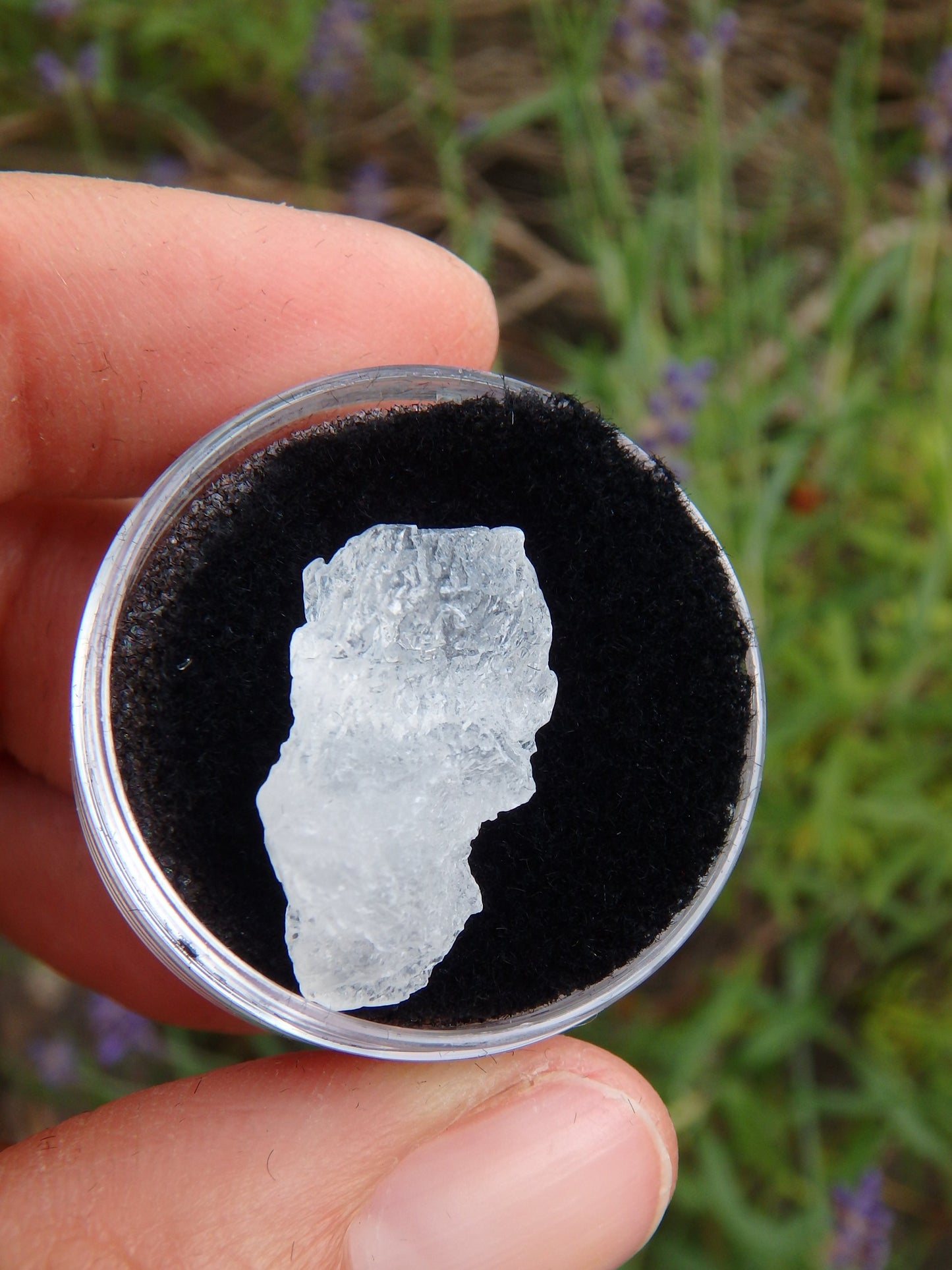 STUNNING ARIZONA ELESTIAL ANGEL CALCITE  in Collectors Box #4 - Metiz Tier Price