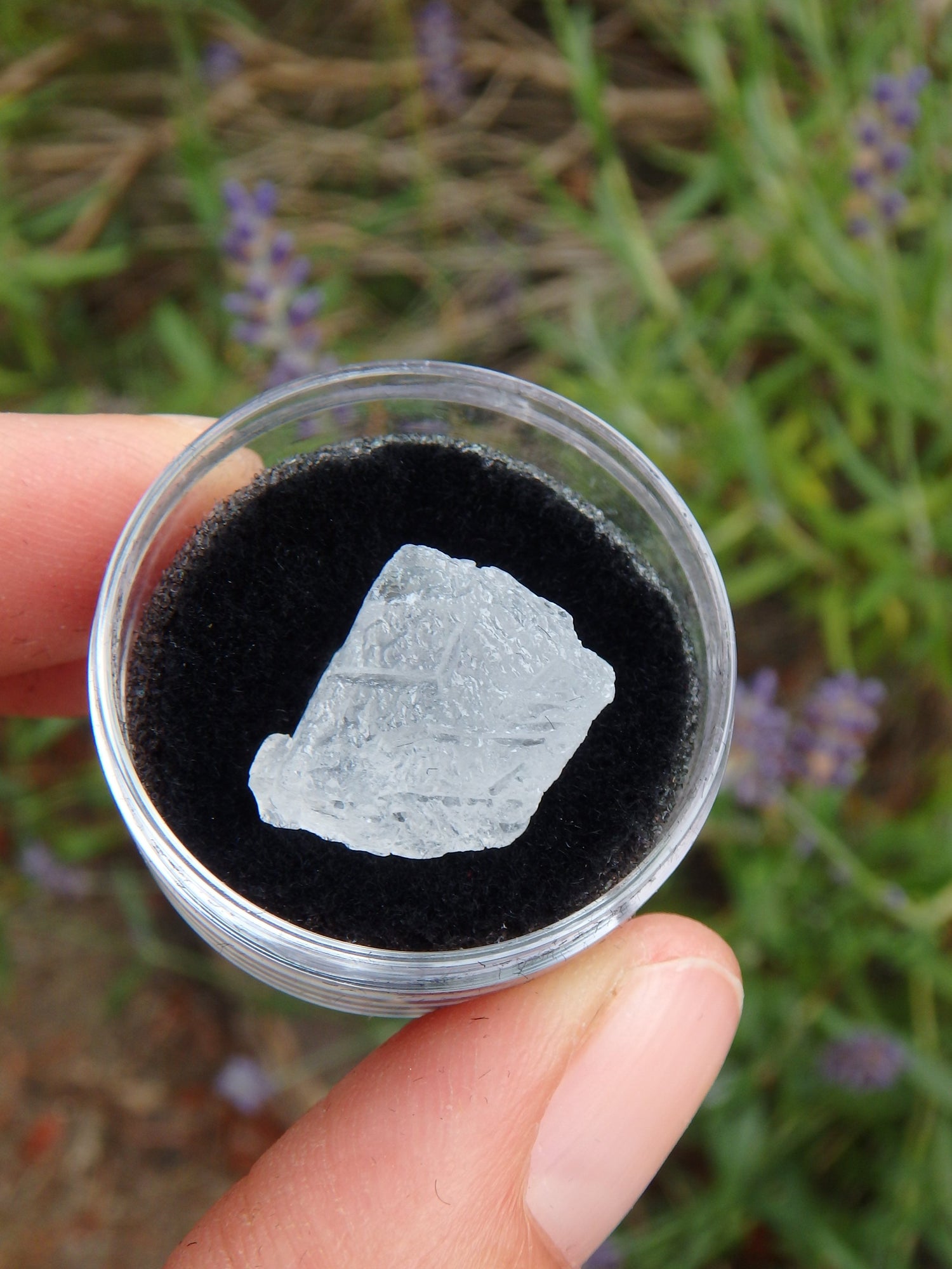 STUNNING ARIZONA ELESTIAL ANGEL CALCITE in Collectors Box #2 - Metiz Tier Price