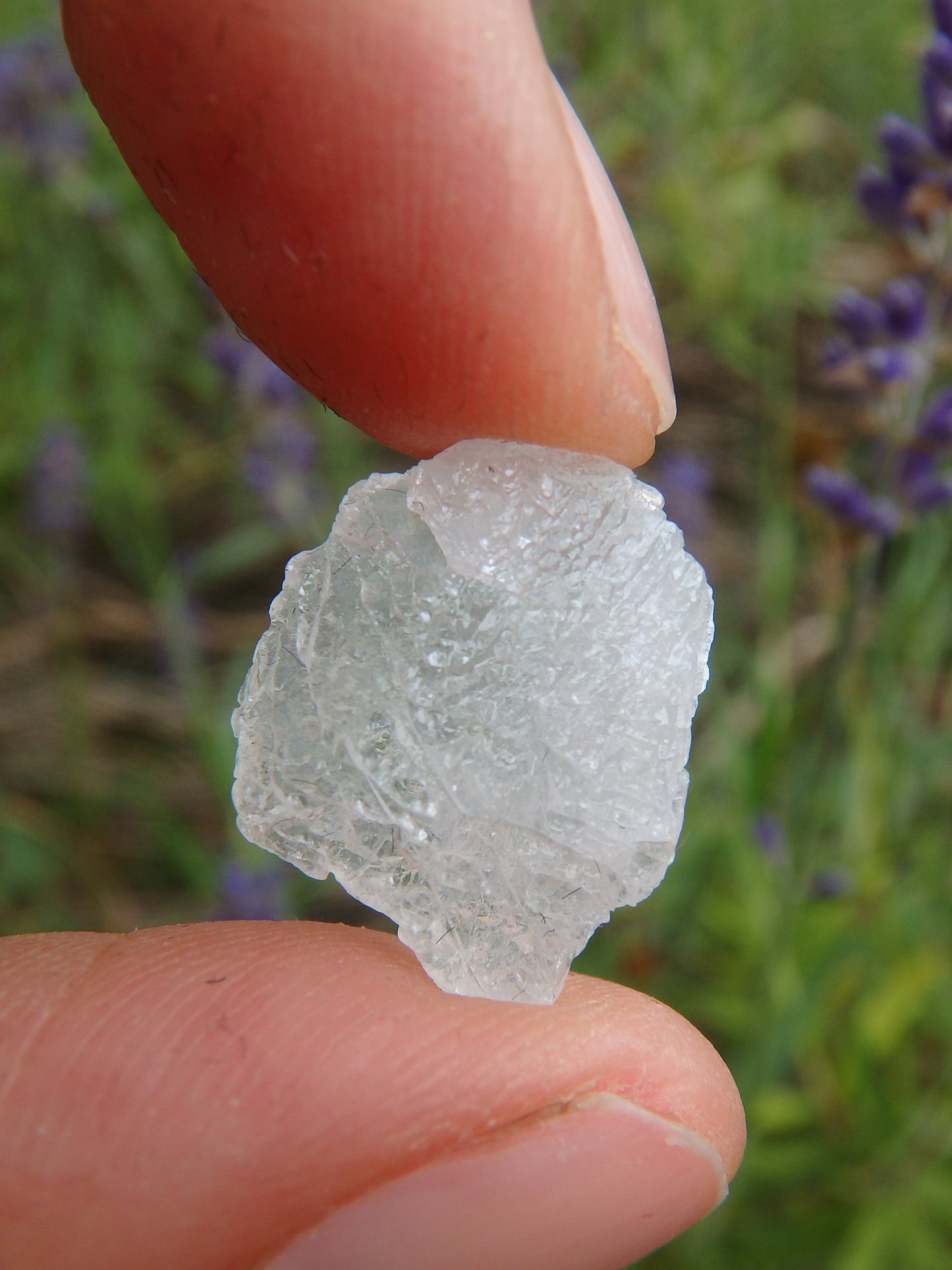 STUNNING ARIZONA ELESTIAL ANGEL CALCITE (AKA. WHITE MOLDAVITE) in Collectors Box 1 - Metiz Tier Price