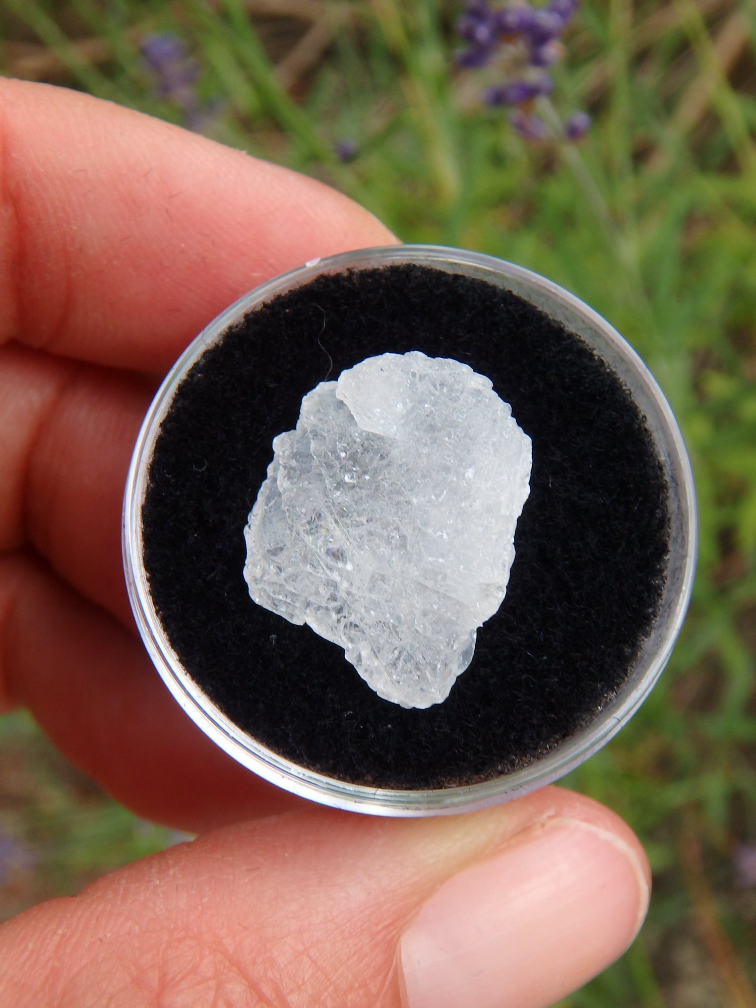 STUNNING ARIZONA ELESTIAL ANGEL CALCITE (AKA. WHITE MOLDAVITE) in Collectors Box 1 - Metiz Tier Price