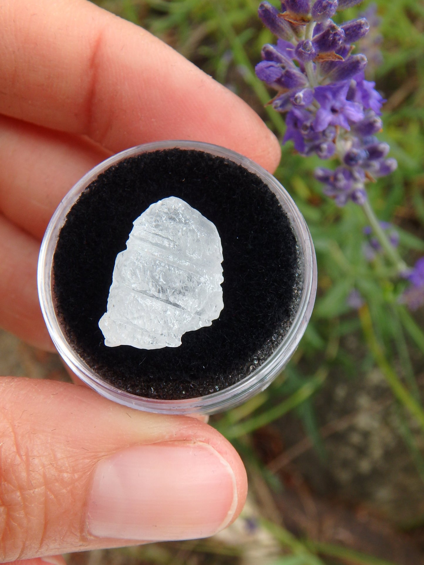 STUNNING ARIZONA ELESTIAL ANGEL CALCITE (AKA. WHITE MOLDAVITE)  in Collectors Box 7 - Metiz Tier Price