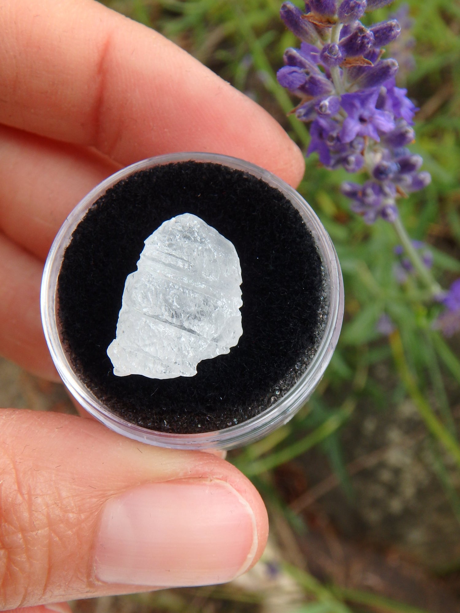 STUNNING ARIZONA ELESTIAL ANGEL CALCITE (AKA. WHITE MOLDAVITE)  in Collectors Box 7 - Metiz Tier Price
