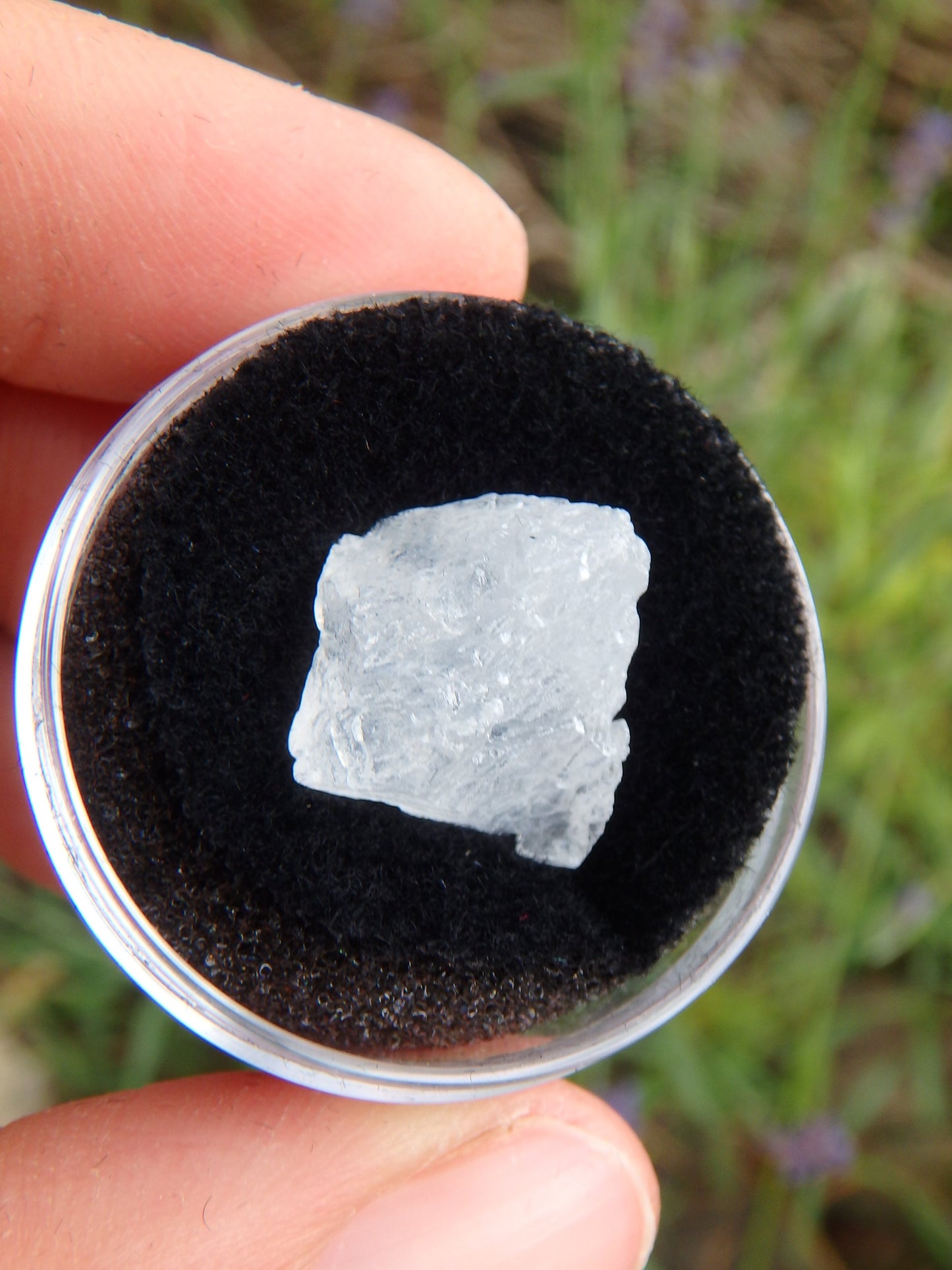 STUNNING ARIZONA ELESTIAL ANGEL CALCITE  in Collectors Box #6 - Metiz Tier Price