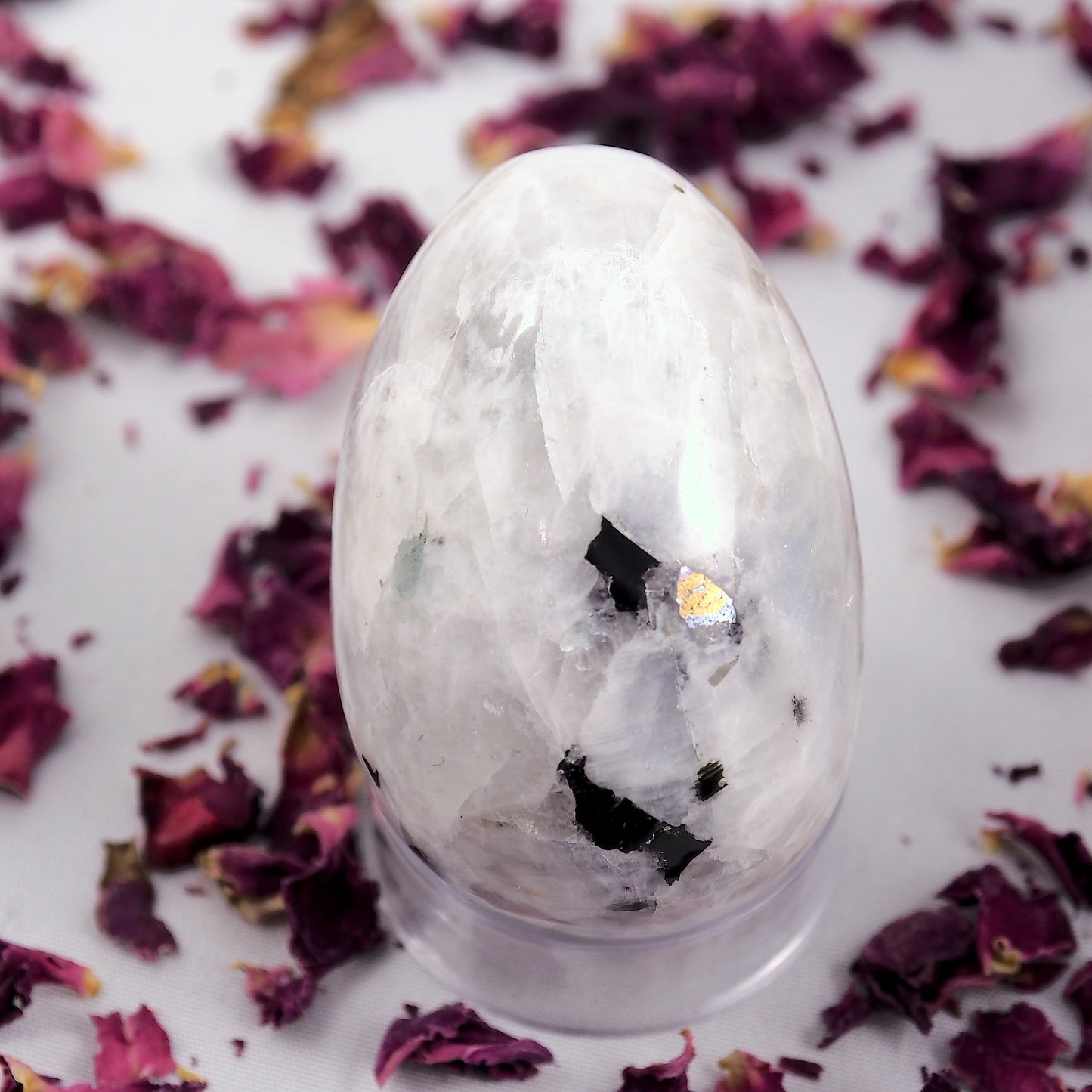 Fantastic Flashes Rainbow Moonstone & Black Tourmaline Egg Carving - Earth Family Crystals