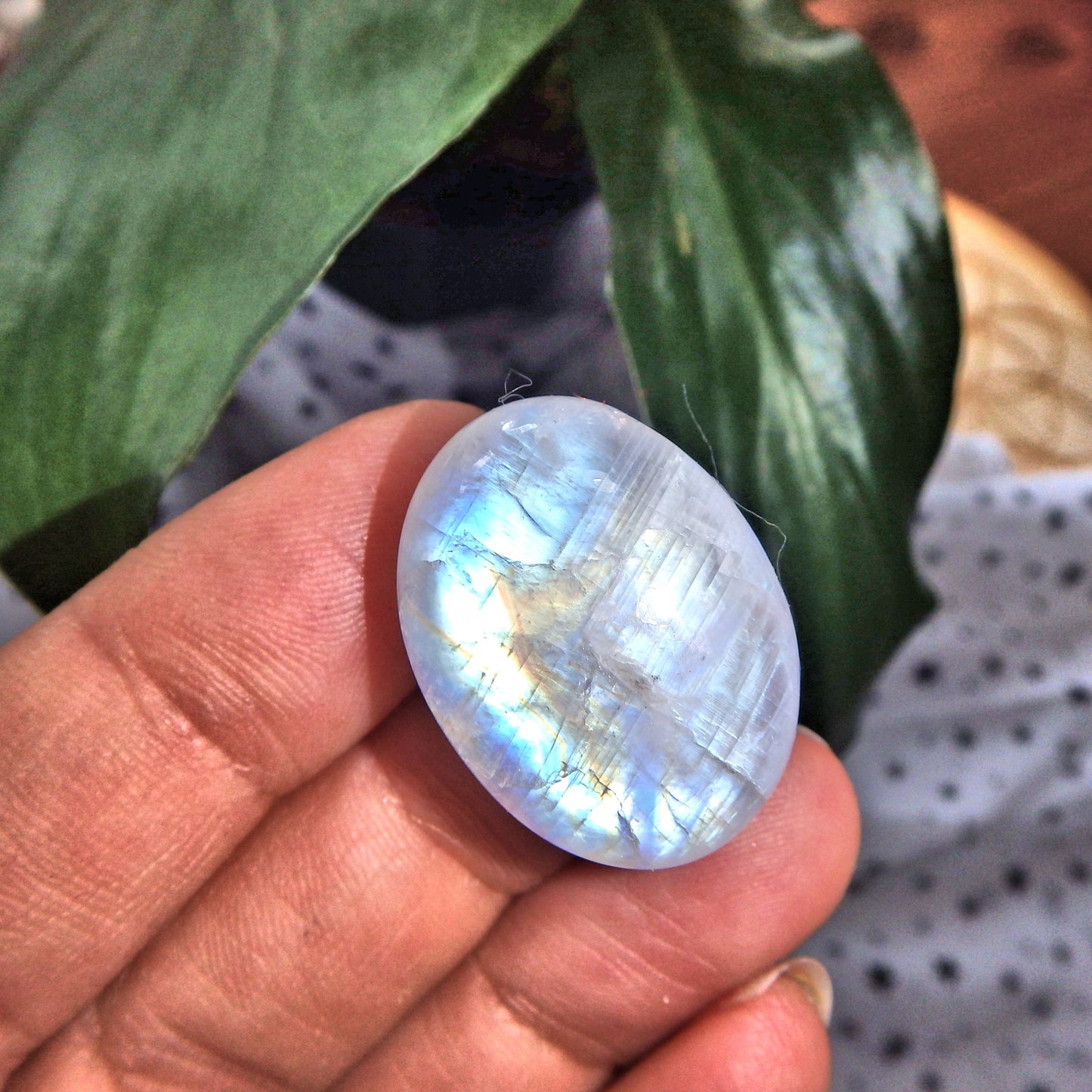 Moving Flashes of Color Rainbow Moonstone Cabochon-Perfect for Crafting - Earth Family Crystals