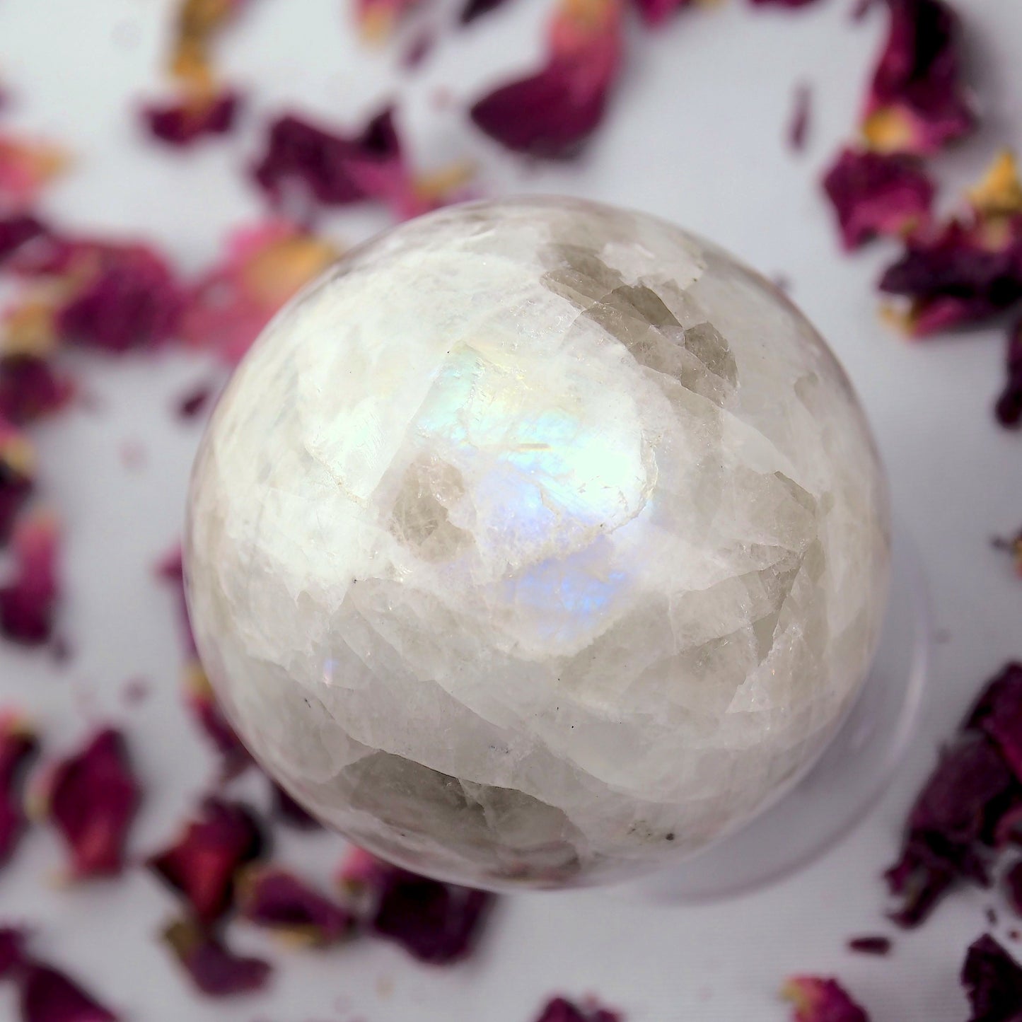 Gorgeous Rainbow Moonstone & Black Tourmaline Small Sphere Carving - Earth Family Crystals