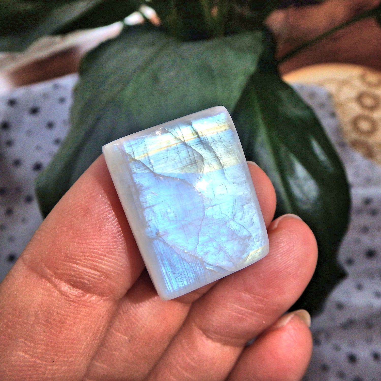 Lovely Colors Rainbow Moonstone Cabochon-Ideal for Crafting - Earth Family Crystals