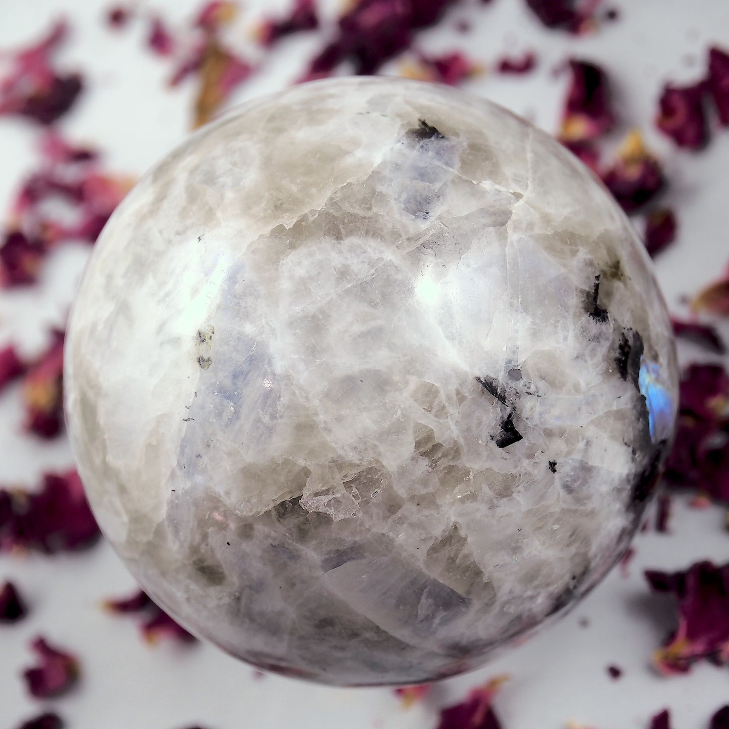 Powerful XL Rainbow Moonstone & Black Tourmaline Sphere Carving