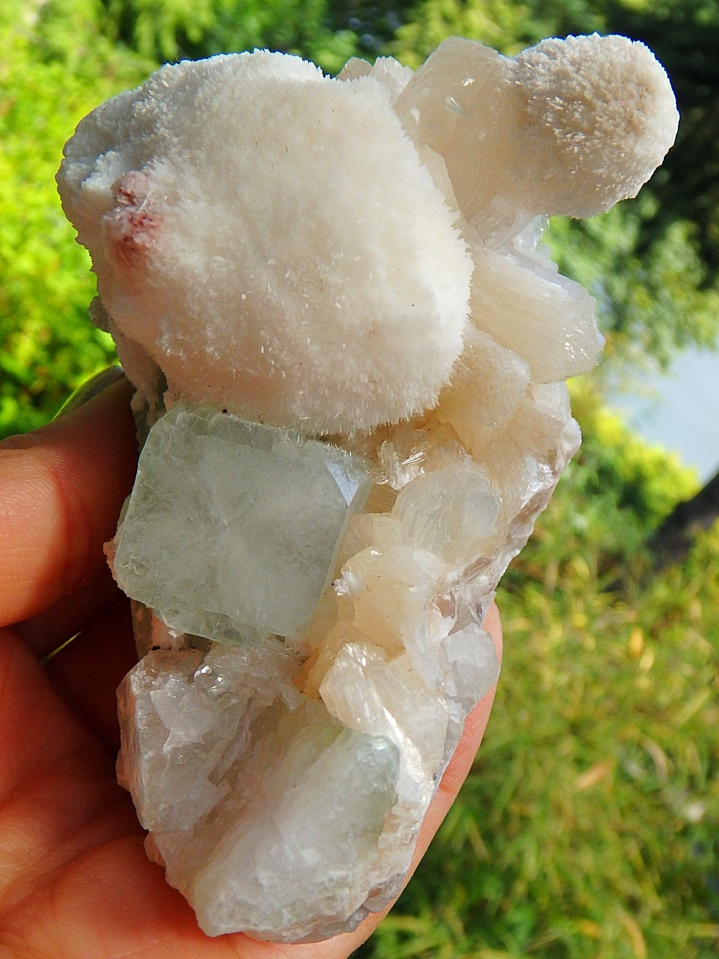 Large Puff Balls of Rare Creamy White Mordenite on Green Apophyllite & Stilbite Matrix From India - Earth Family Crystals