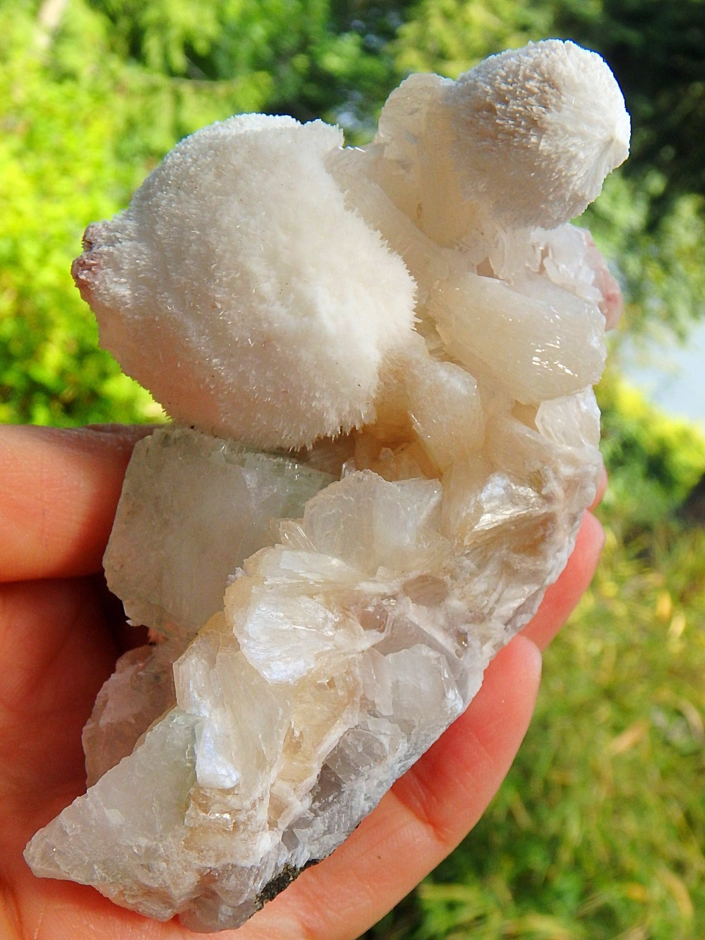 Large Puff Balls of Rare Creamy White Mordenite on Green Apophyllite & Stilbite Matrix From India - Earth Family Crystals