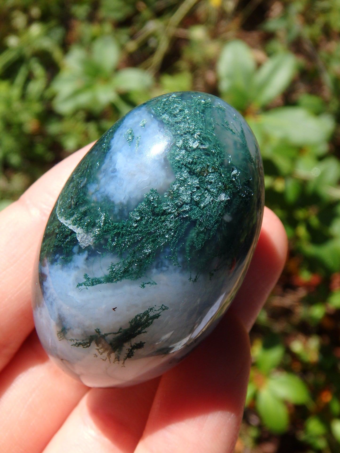 Forest Green & Cloudy Blue Moss Agate Egg Carving 3 - Earth Family Crystals