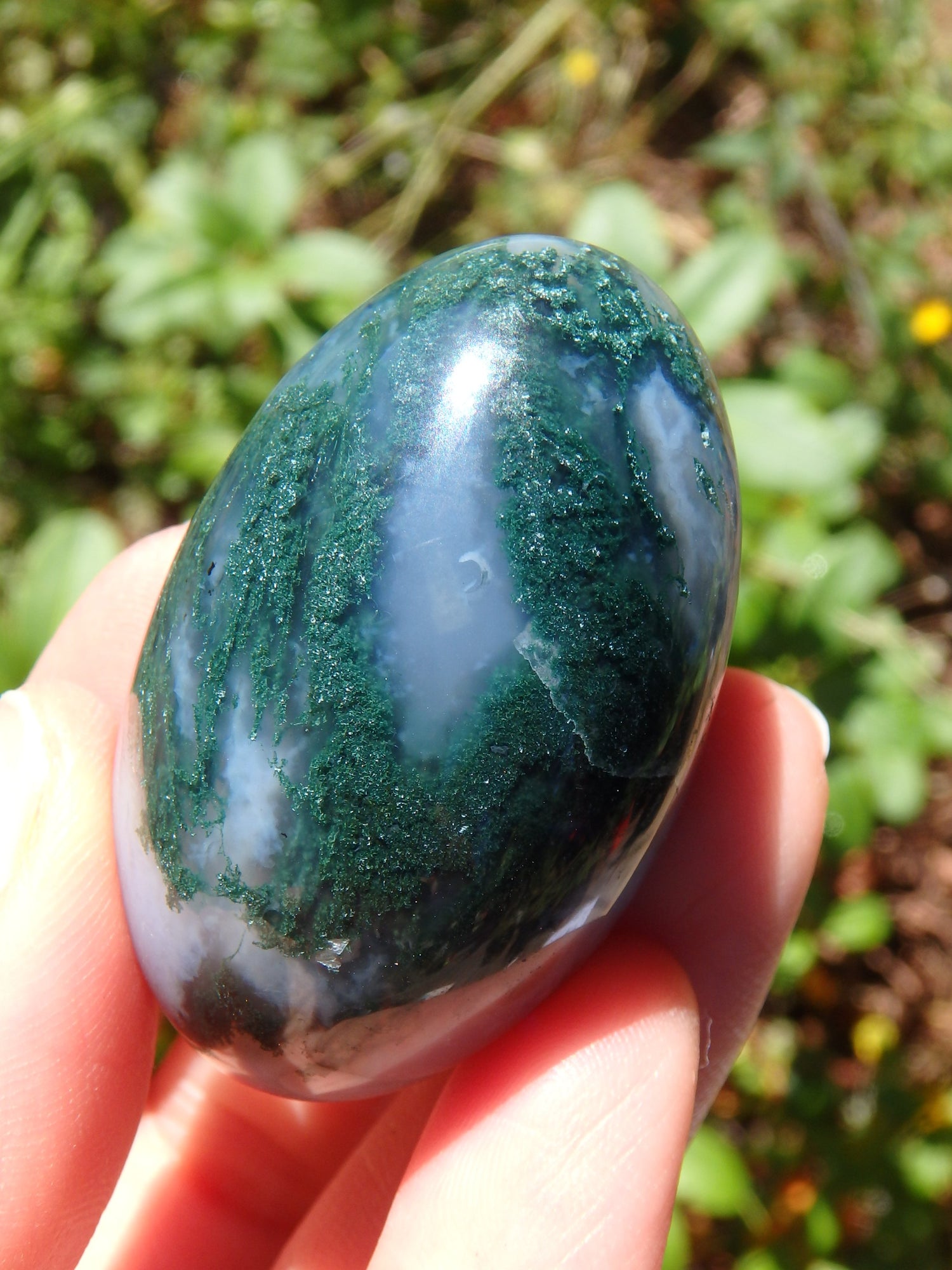 Forest Green & Cloudy Blue Moss Agate Egg Carving 3 - Earth Family Crystals