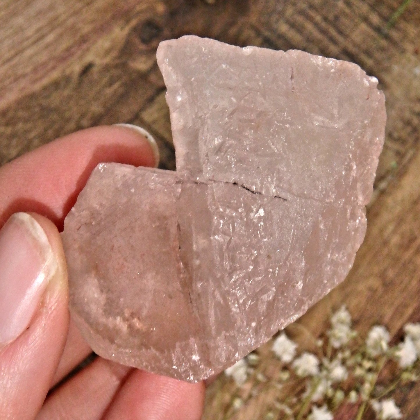 Multiple Record Keepers Pink Nirvana Ice Quartz Hand Held Specimen - Earth Family Crystals