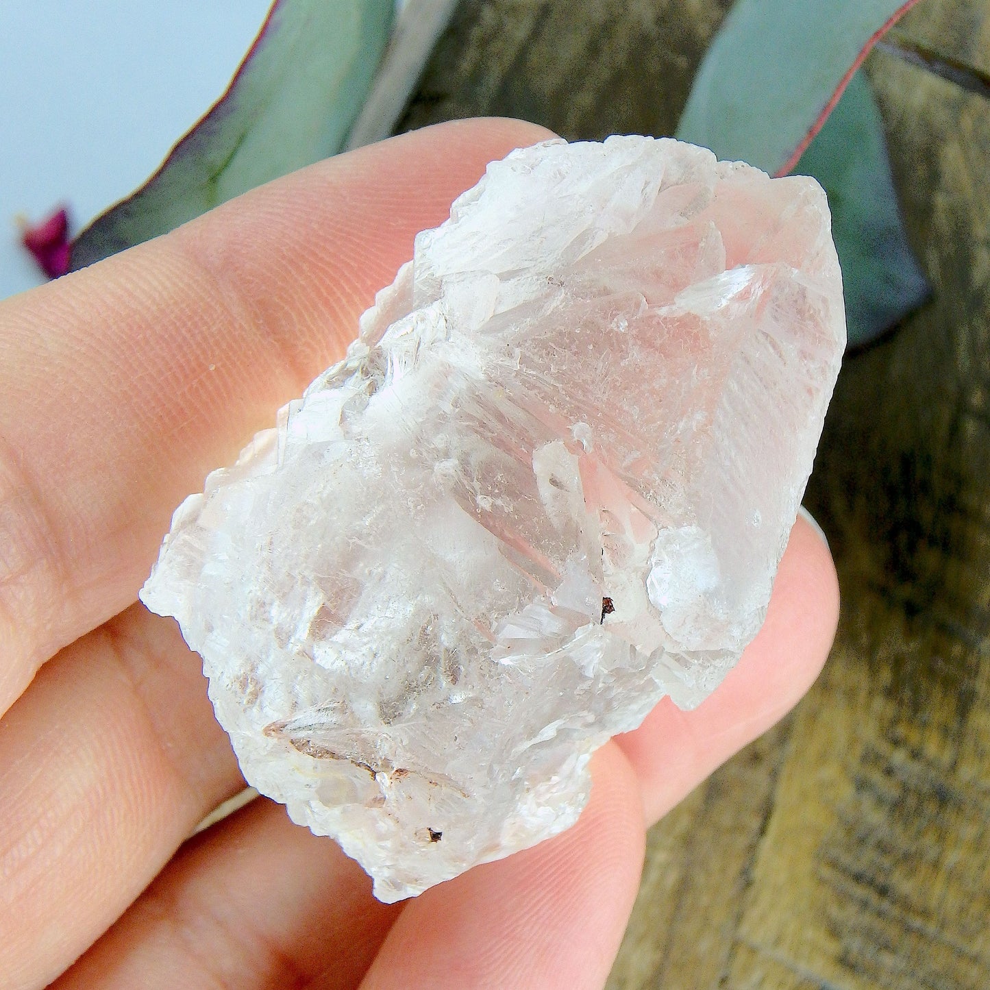 High Vibe~Peak Elestial Point & Record Keepers Gemmy Clear Nirvana Ice Quartz Point
